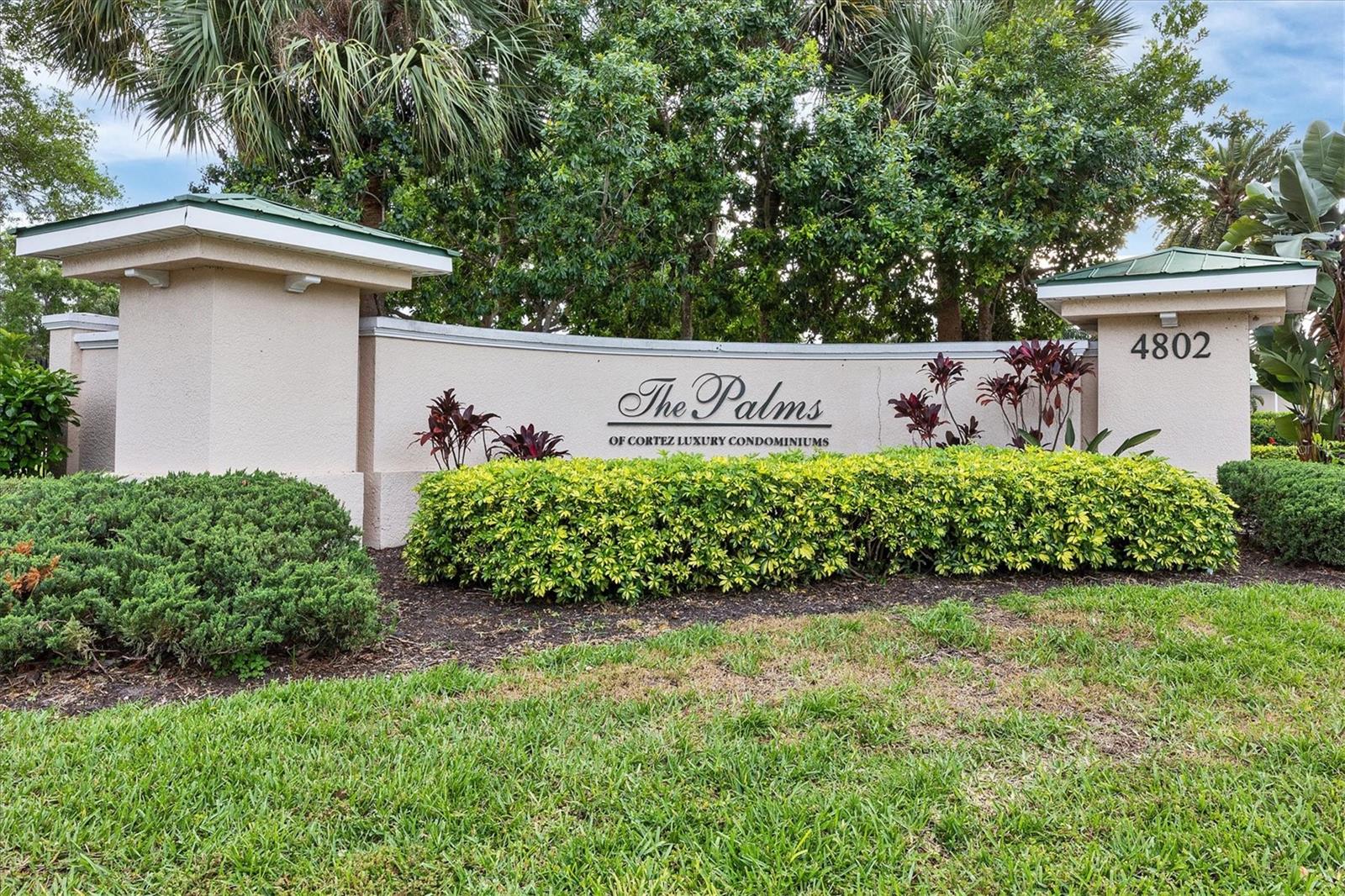 THE PALMS OF CORTEZ - Residential