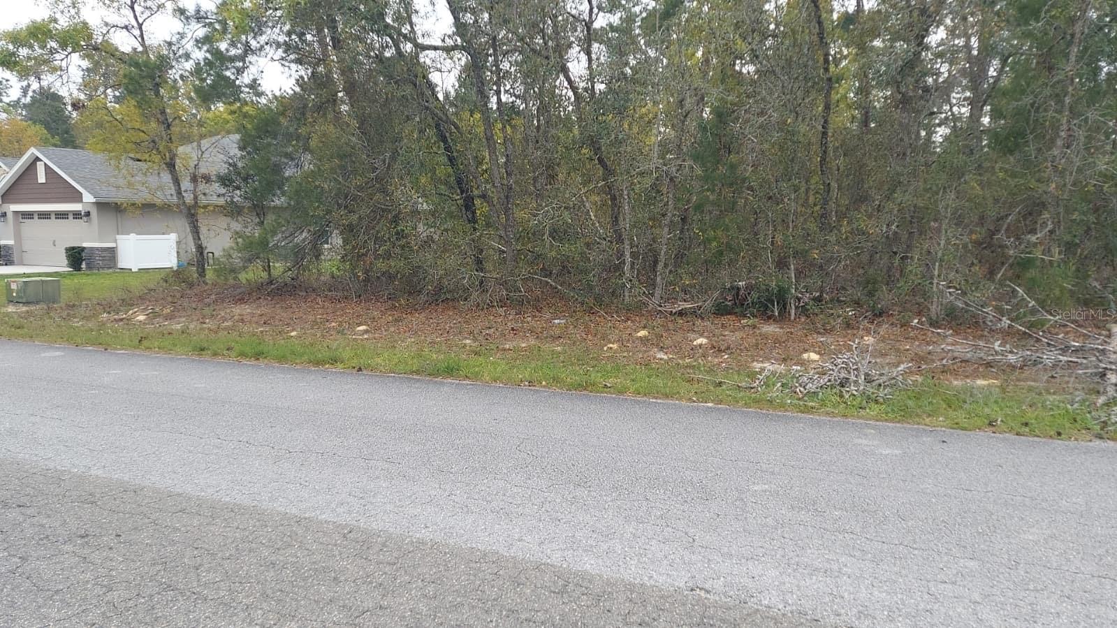 BEAUTIFUL AND SERENE NEIGHBORHOOD, EXCELLENT FOR LIVING* NEW CONSTRUCTIOS CLOSE THIS LAND. SHOPPS OF SUGARMILL WOODS PLAZA NEARBY.  SO CLOSE TO SUNCOAST PAKWAY. *ONLY ABOUT AN HOUR AWAY FROM TAMPA* COMMUNITY AMENITIES: CLUBHOUSE, COMMUNITY POOL, EXERCISE ROOM, GOLF COURSE, PRO SHOP, PUTTING, PUBLIX,  RESTAURANT, TENNIS COURT( S )LIGHTED.