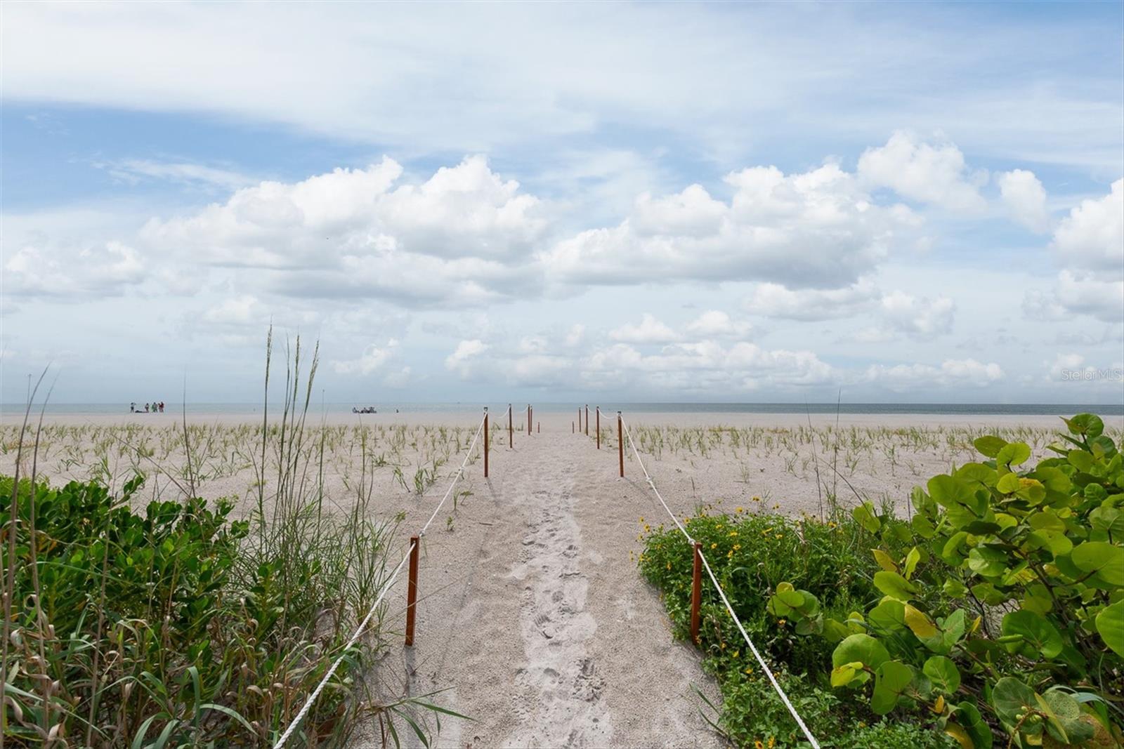 SAND KEY CONDO-SOUTH BEACH - Residential