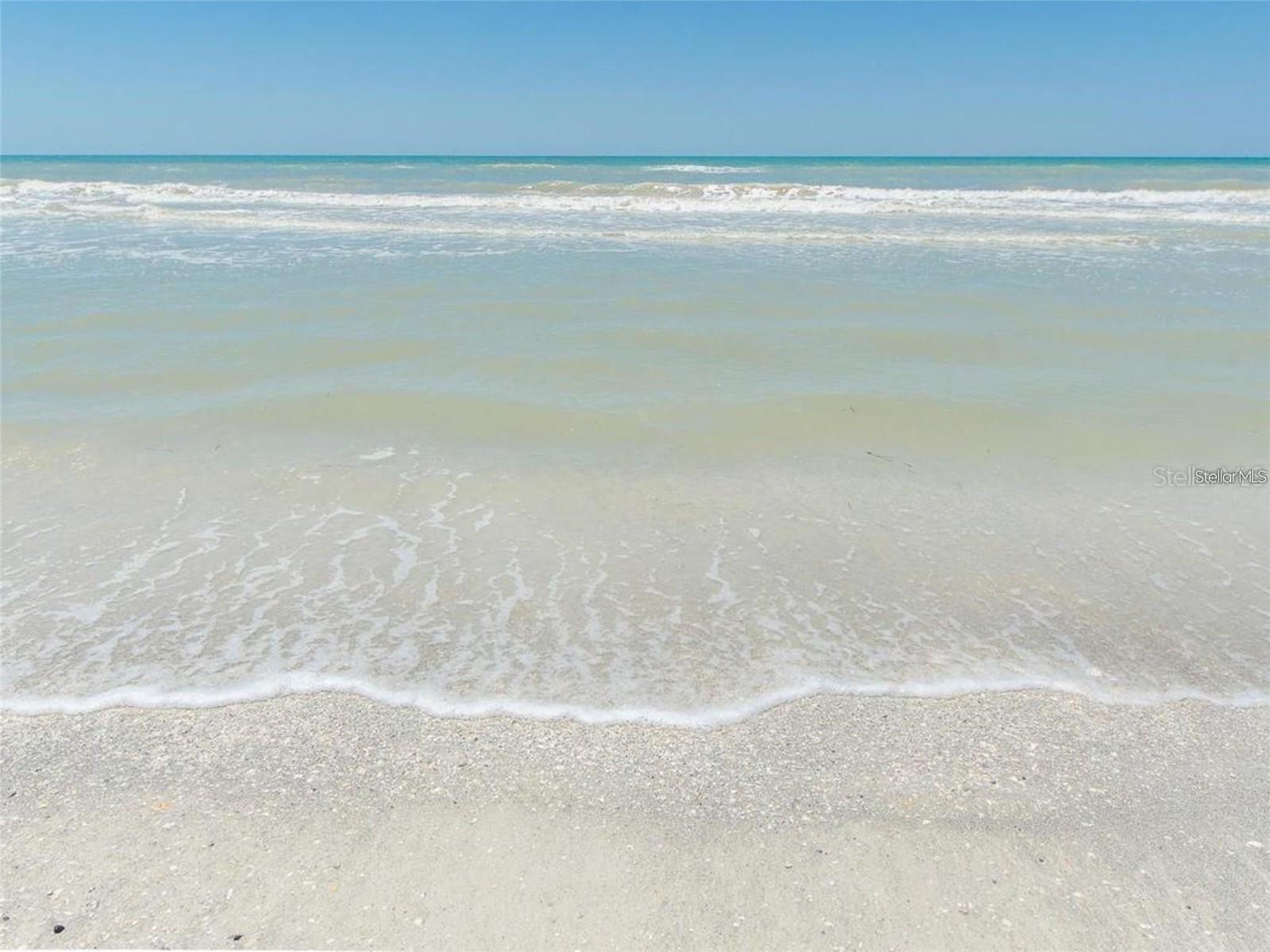SAND KEY CONDO-SOUTH BEACH - Residential