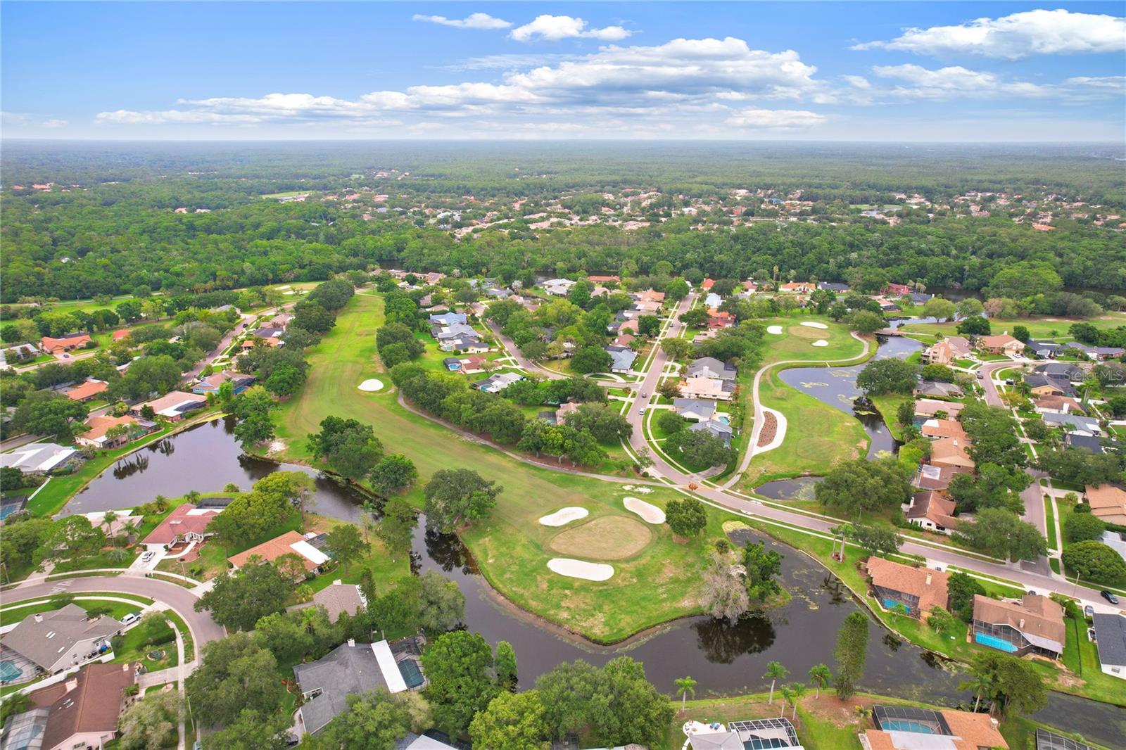 EAST LAKE WOODLANDS - Residential