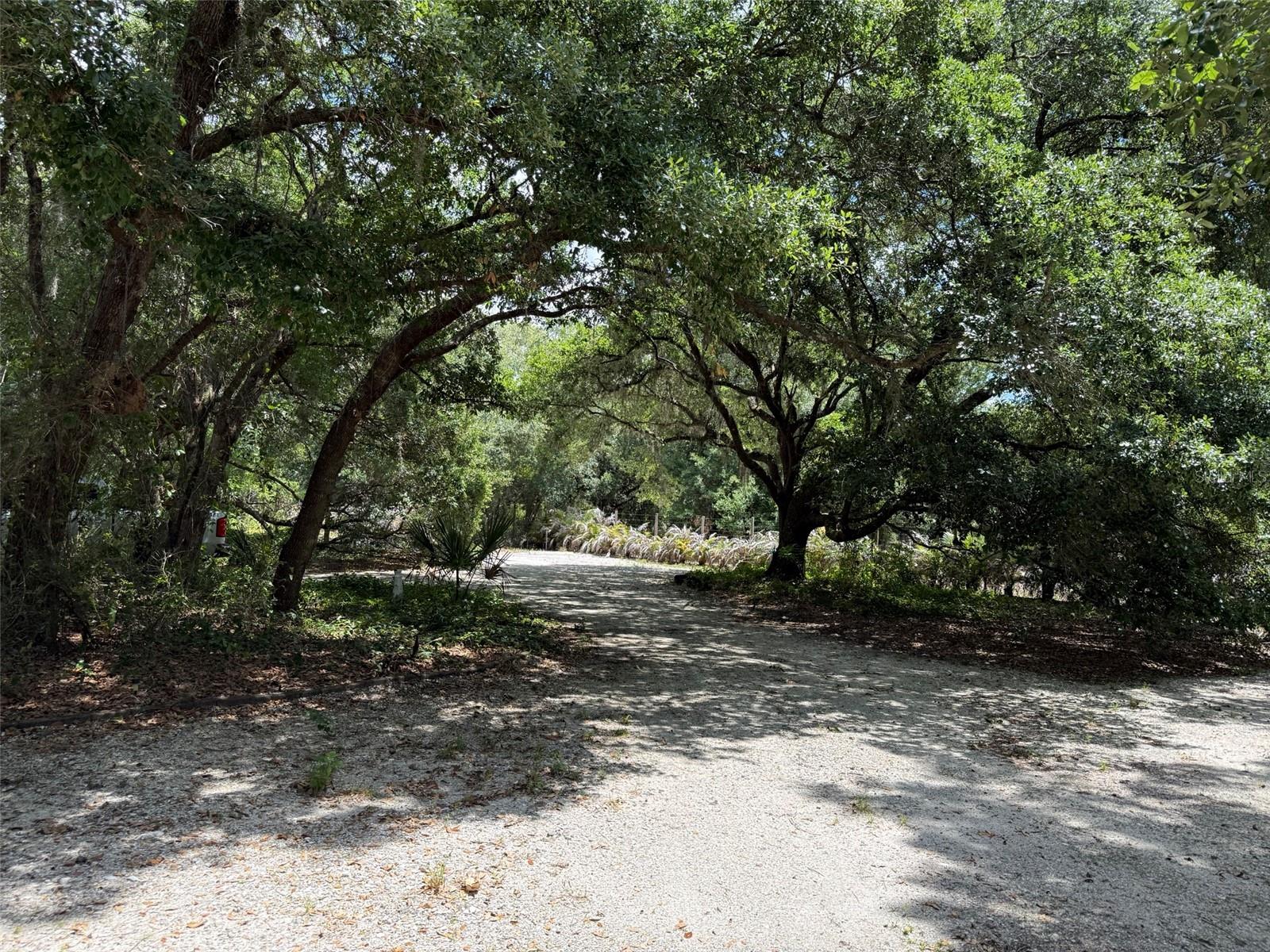 Bring your vision to life on this beautiful 1.25-acre property located in a peaceful and private setting. This high and dry parcel is completely fenced and features a complete irrigation system throughout the property, making it ideal for gardening, farming, animals, or future improvements. Enjoy the convenience of a storage shed, plenty of parking space for vehicles, trailers, boats, or equipment, and power poles already located at the street for easy utility access. Property currently operates off generator power, offering flexibility. A great opportunity to own versatile acreage with endless potential! Buyer to perform all due diligence regarding zoning, land use, utilities, and building requirements.
