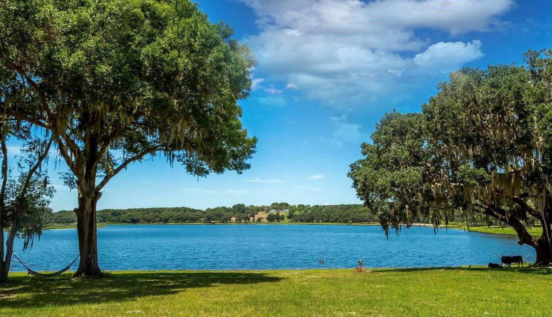 SPRING LAKE VALLEY ESTATES - Land