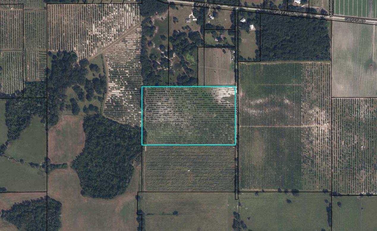 This is a retired orange grove, four miles east of Wauchula on Hayman Road, just off Griffin Road.  This is a good location not far from town.  The property has a deep 4 inch well and micro jet irrigation system.  This would be a great homesite, and also is suitable for farming and could be a nice pasture for a barn and horses.