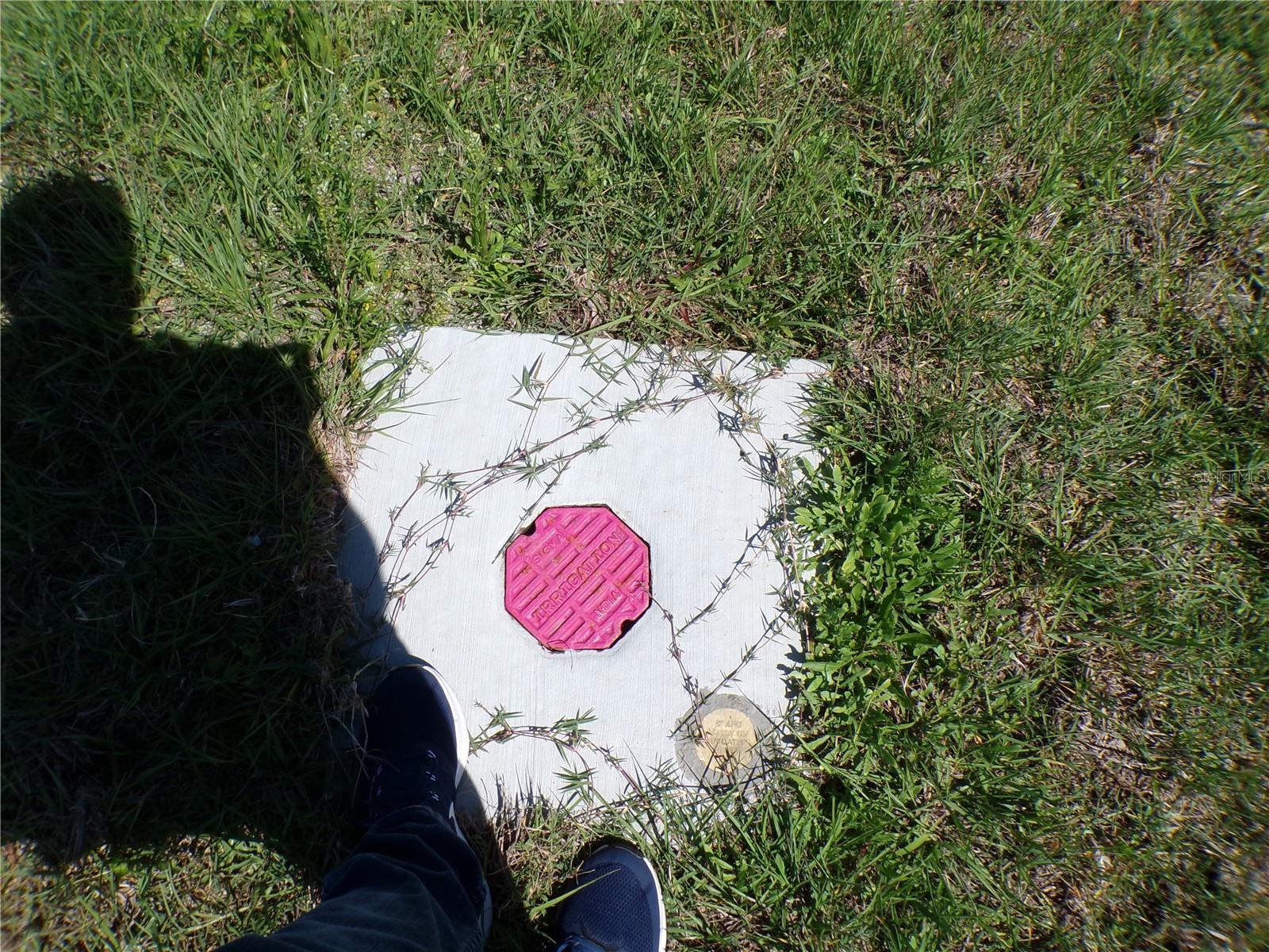 CAPE CORAL - Land
