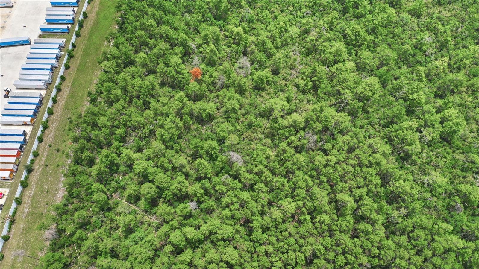 PINE VIEW ESTATES - Land