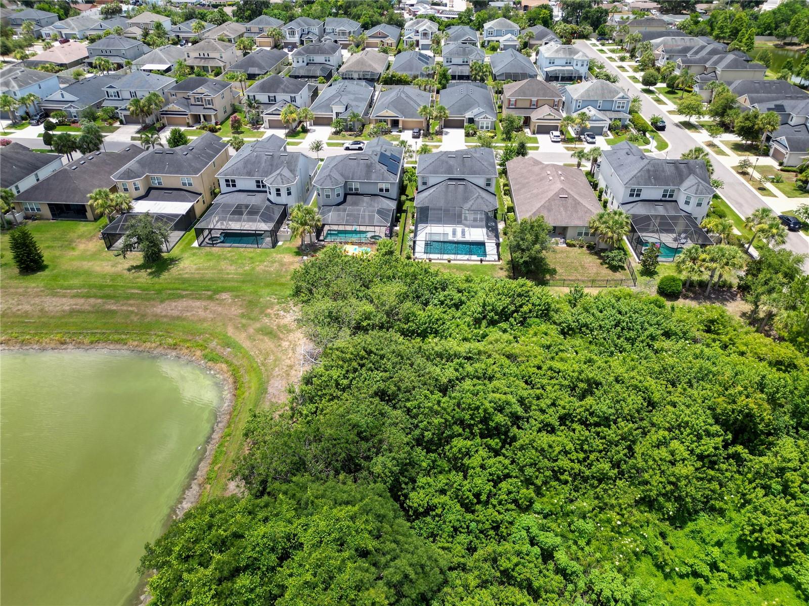 CITRUS CHASE - Residential
