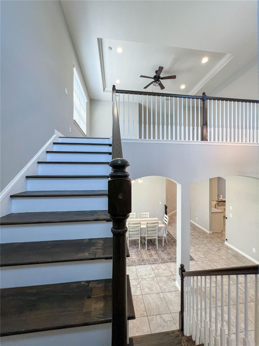 CITRUS CHASE - Residential
