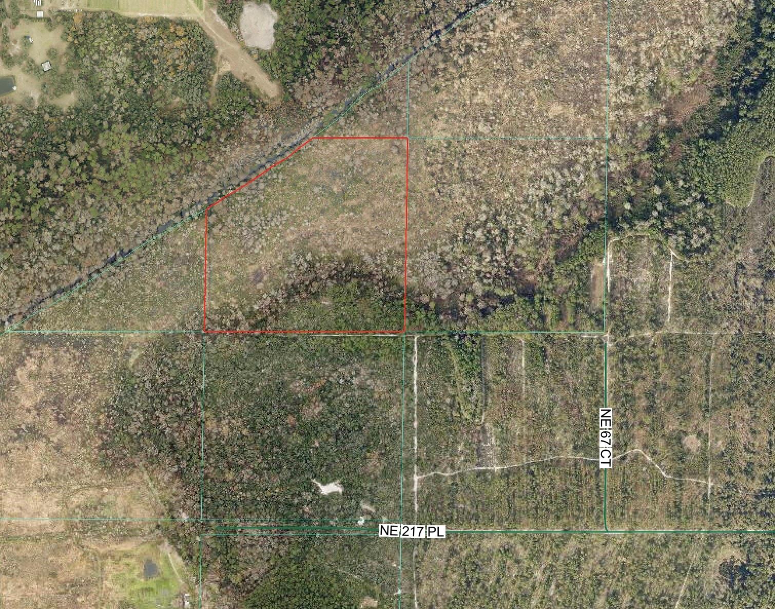 39 wooded acres in Citra, Florida. Located in flood zone A.