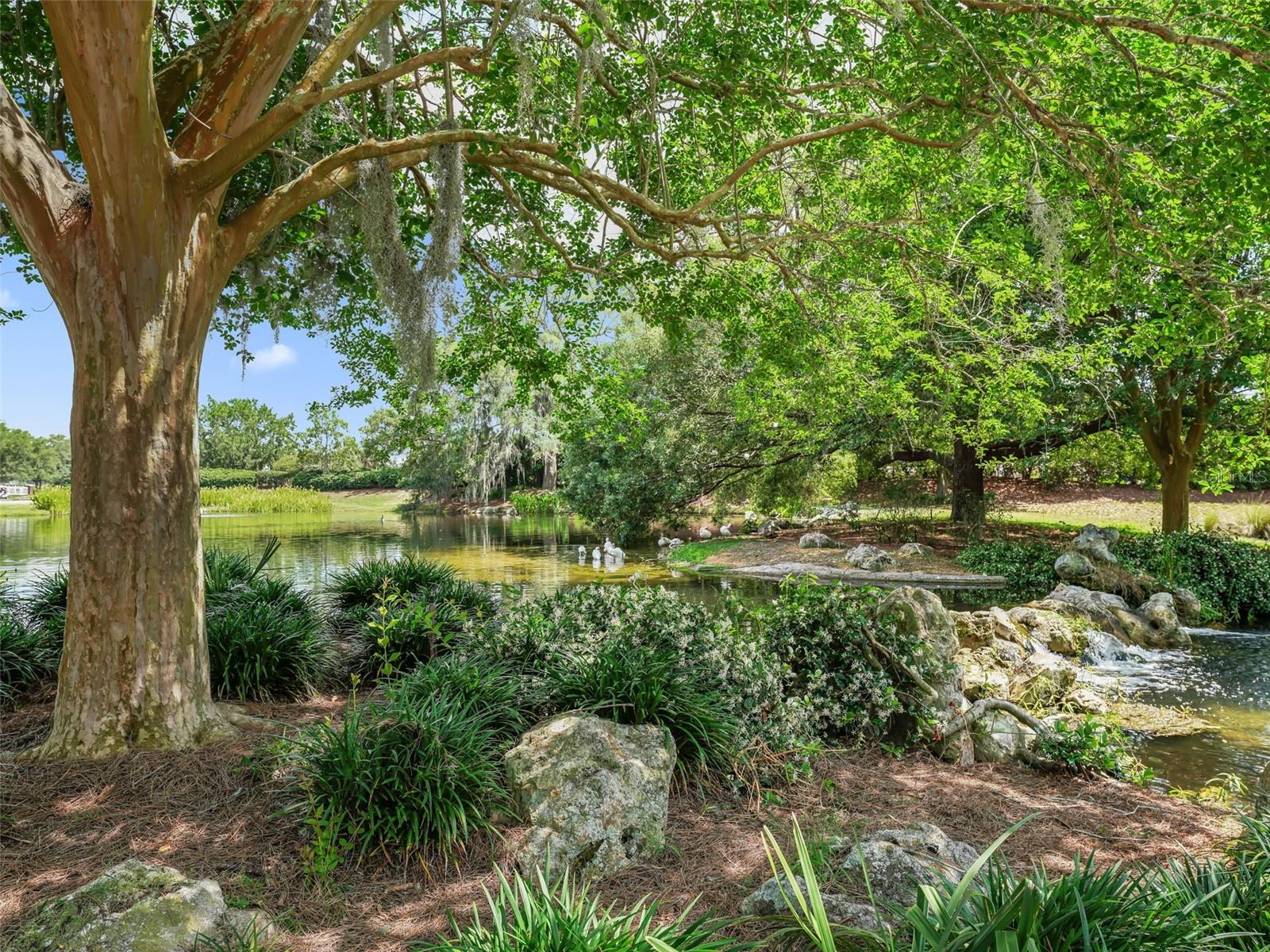 SUMTER VILLAGES - Residential