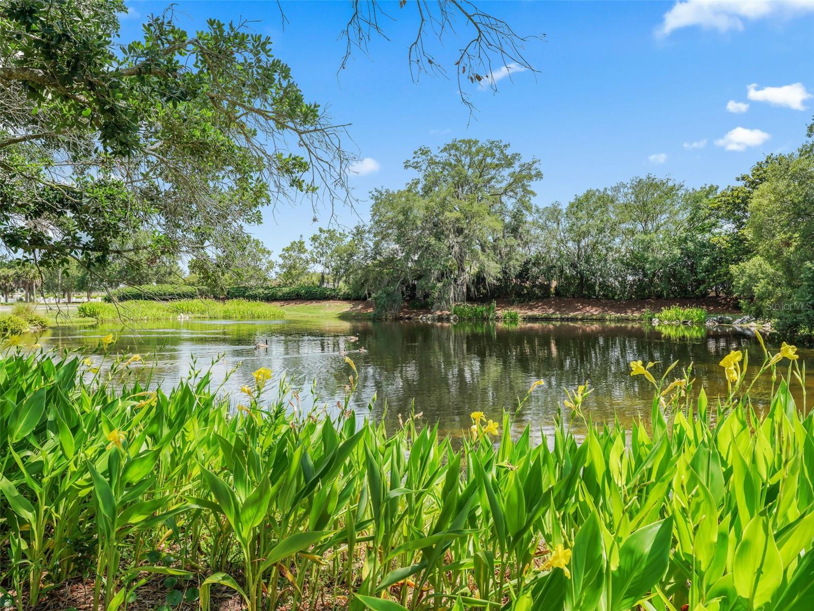 SUMTER VILLAGES - Residential