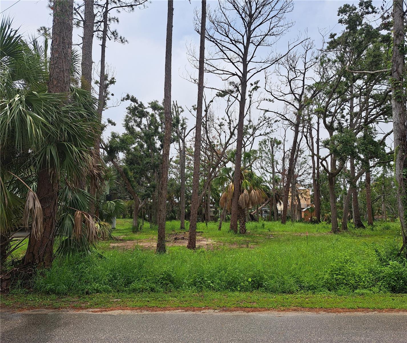 This lot  fronts on a paved road just two blocks for a short walk  to  the Steinhatchee River, boat ramp, Roy's restaurant, Sea Hag marina Sewer, water and electric are available close by. Prior to the last two hurricanes of 2023 and 2024.  This property hadn't flooded since 1990, and has an  approx. elevation of 6-8'.  Come and enjoy  premier fishing, scenic river views, and fresh seafood  from you own piece of paradise  in this beautiful coastal town! Information was obtained from the  county building and zoning, water and sewer, and the electric company and is believed to be accurate. Buyer is advised  to ascertain the suitability for this property for your needs.