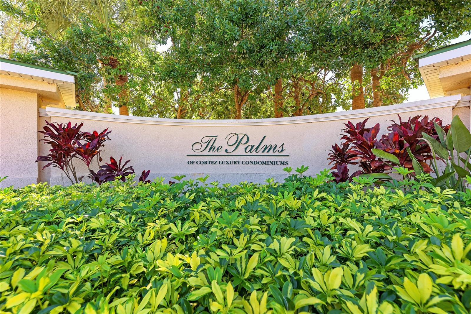 PALMS OF CORTEZ - Residential