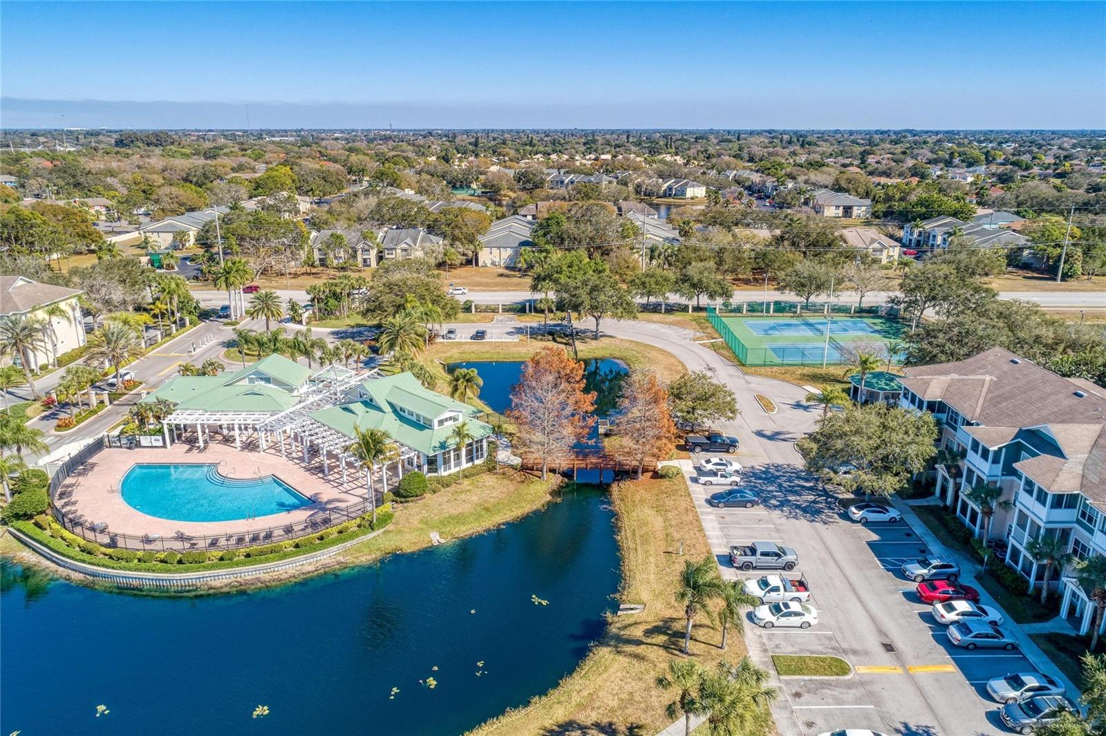PALMS OF CORTEZ - Residential