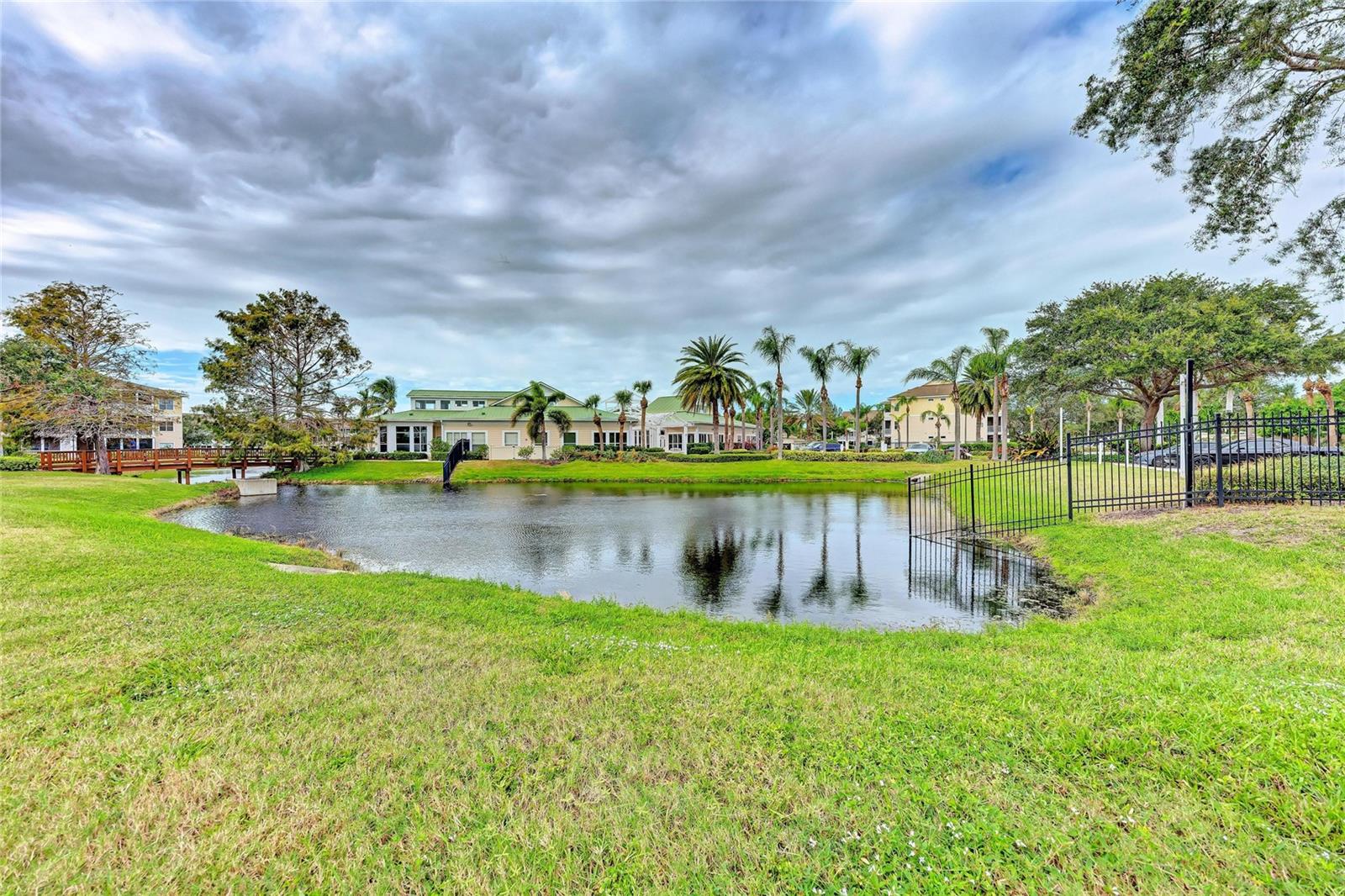 PALMS OF CORTEZ - Residential