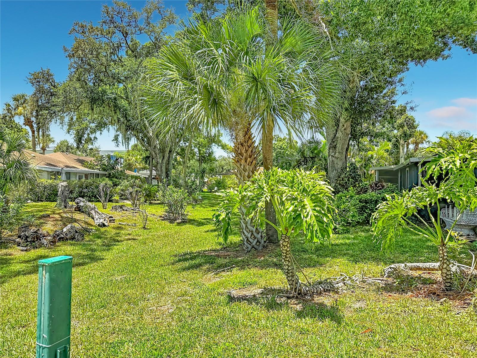 ROYAL PALM VILLAS - Residential