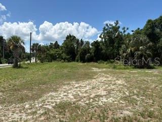 FRUITLAND PARK 1ST ADD - Land