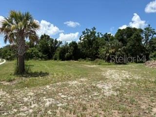 Unlocking a rare infrastructure package on a heavily traveled Central Florida corridor, this 2+ acre commercial site features an unprecedented 700+ feet of direct road frontage along county road 25-A and only 2 minutes from highway 466-A. Located just minutes from the booming submarkets of The Villages and major transit veins like US-441, this exceptionally wide, highly visible sight is perfectly positioned for high-density commercial, retail, or medical pad sight development. This Double-Pad site has a 100% usable footprint with a Turn-Key city sewer connection on site and an engineered Off-Site stormwater runoff.