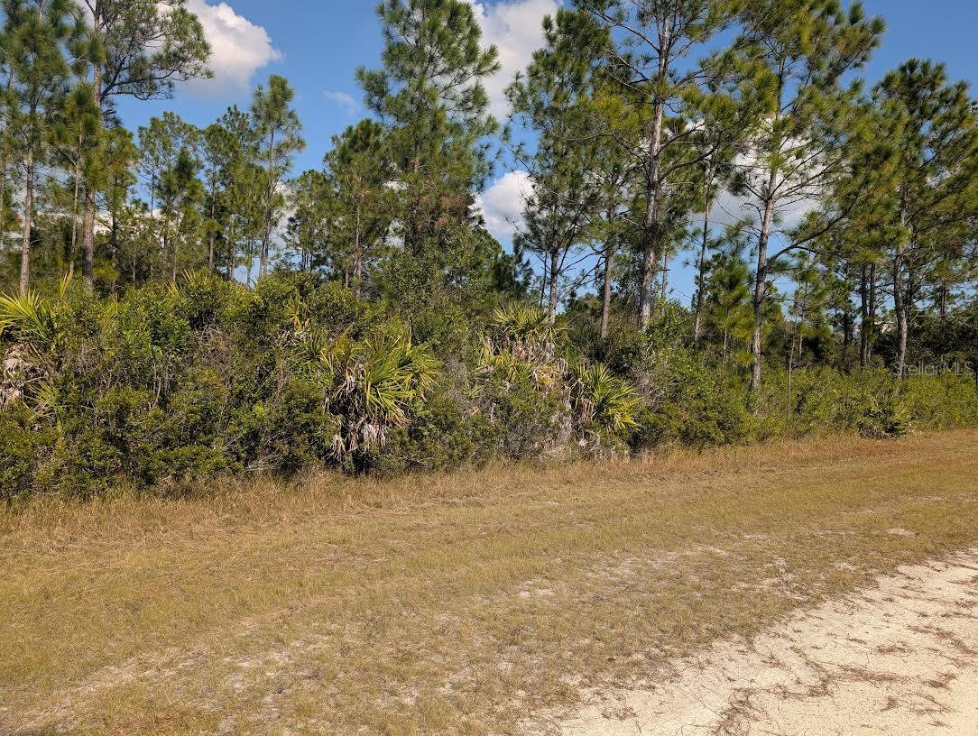INDIAN LAKE ESTATES - Land