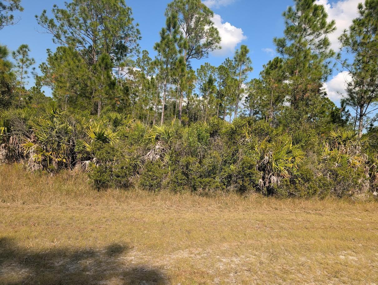INDIAN LAKE ESTATES - Land