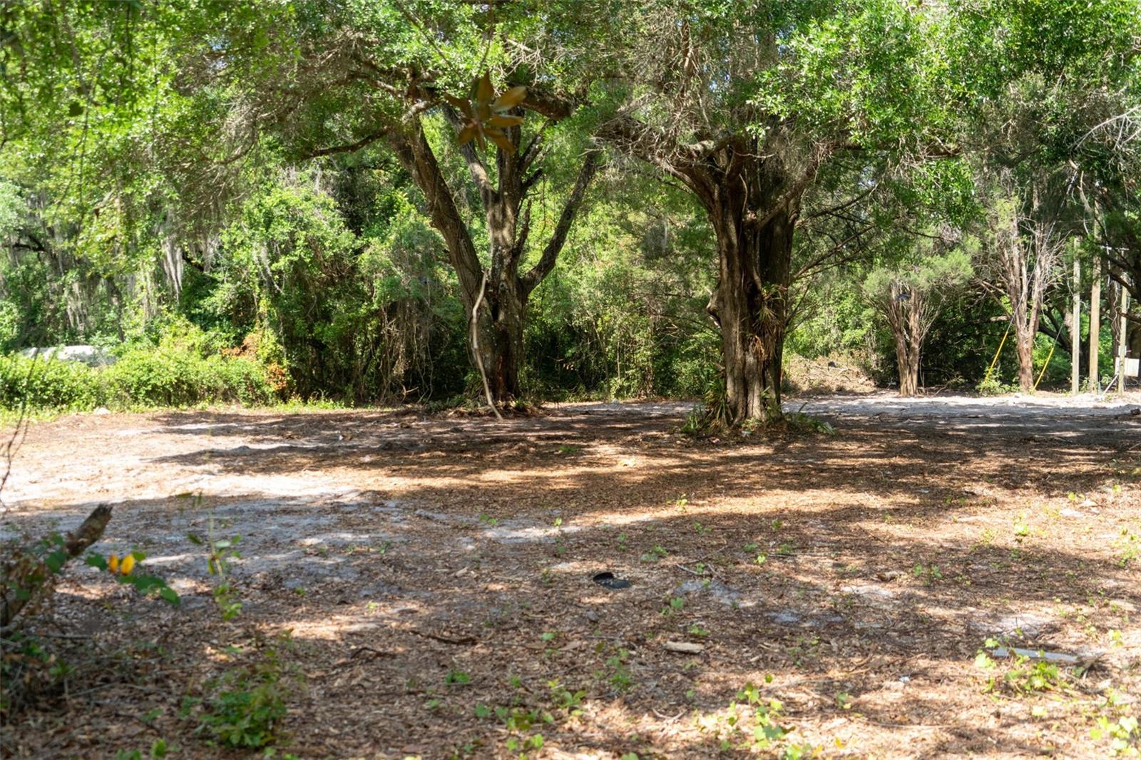 WILDWOOD RANCH - Land