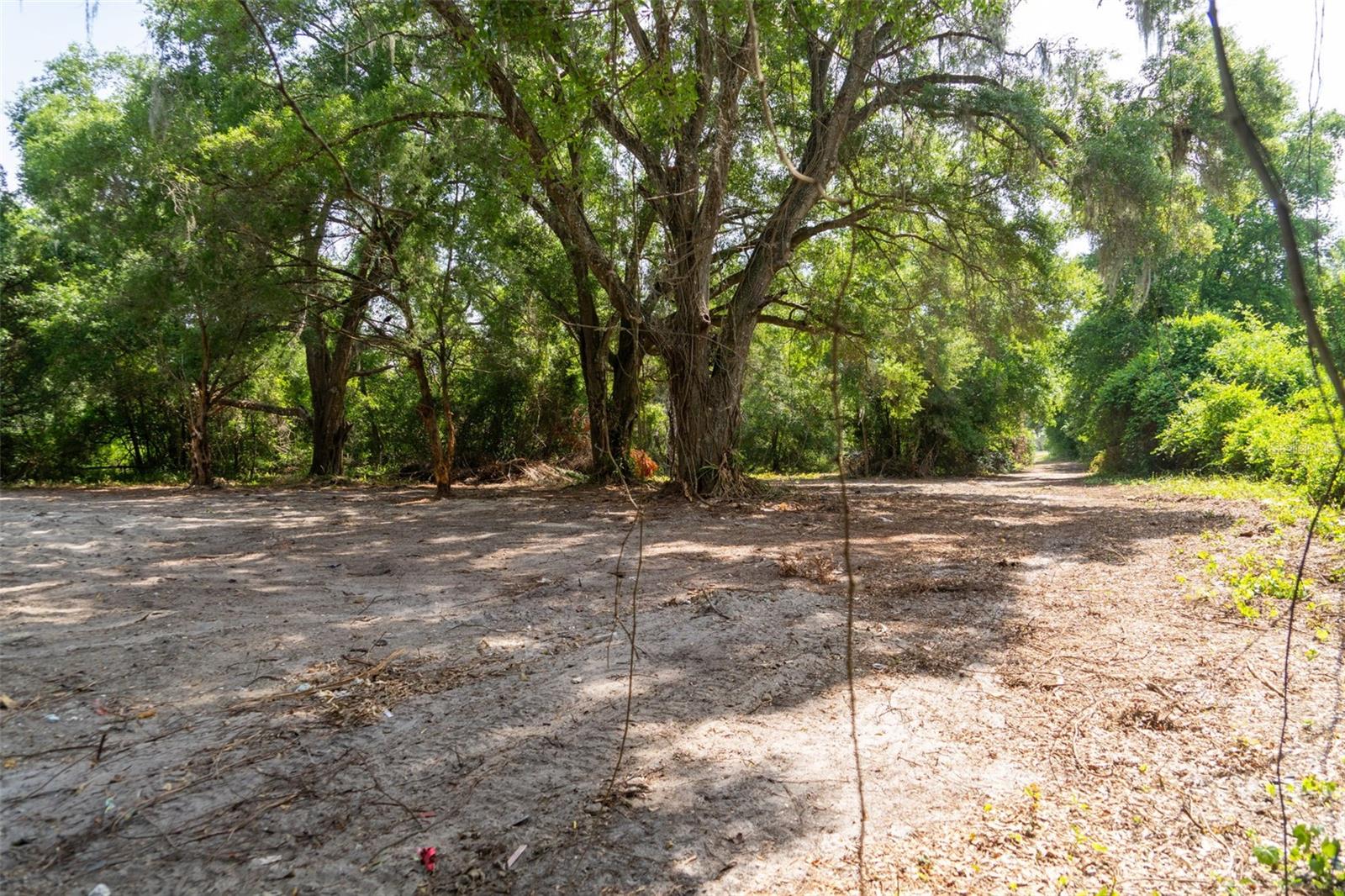 WILDWOOD RANCH - Land