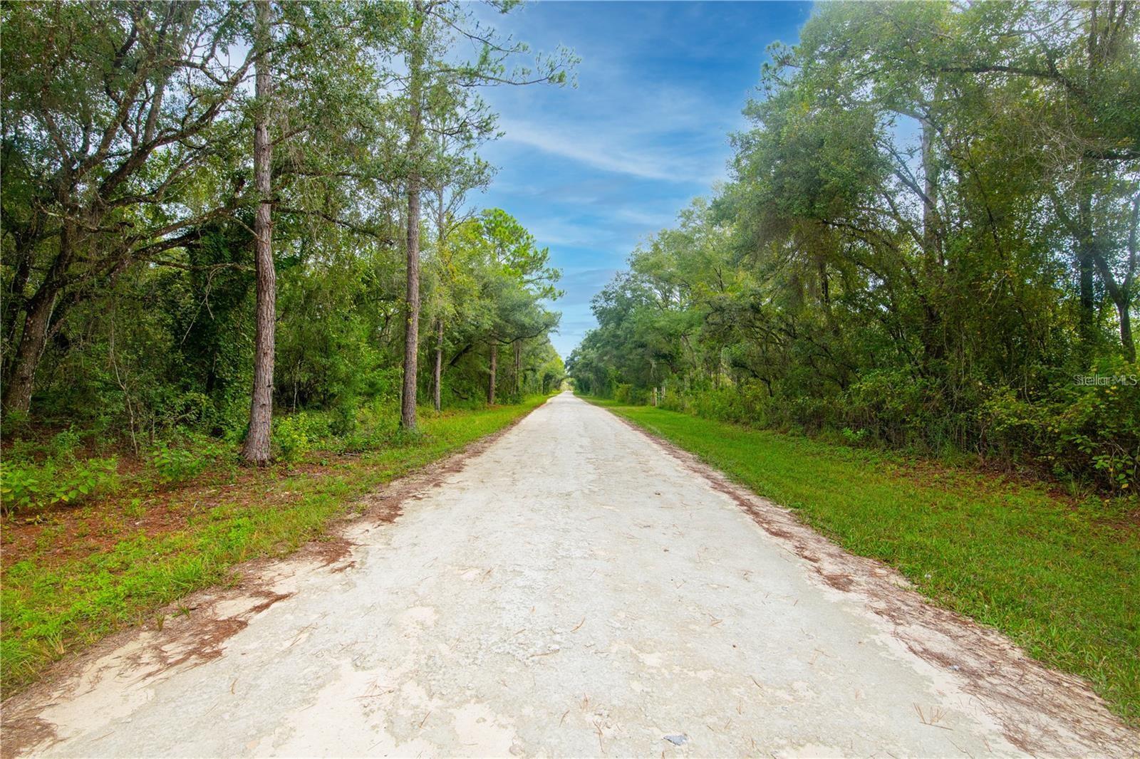 RIDGE MANOR ESTATE - Land