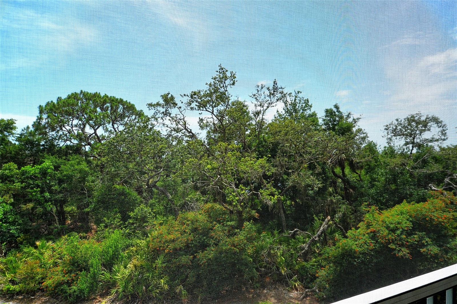 MERIDIAN AT THE OAKS PRESERVE - Residential