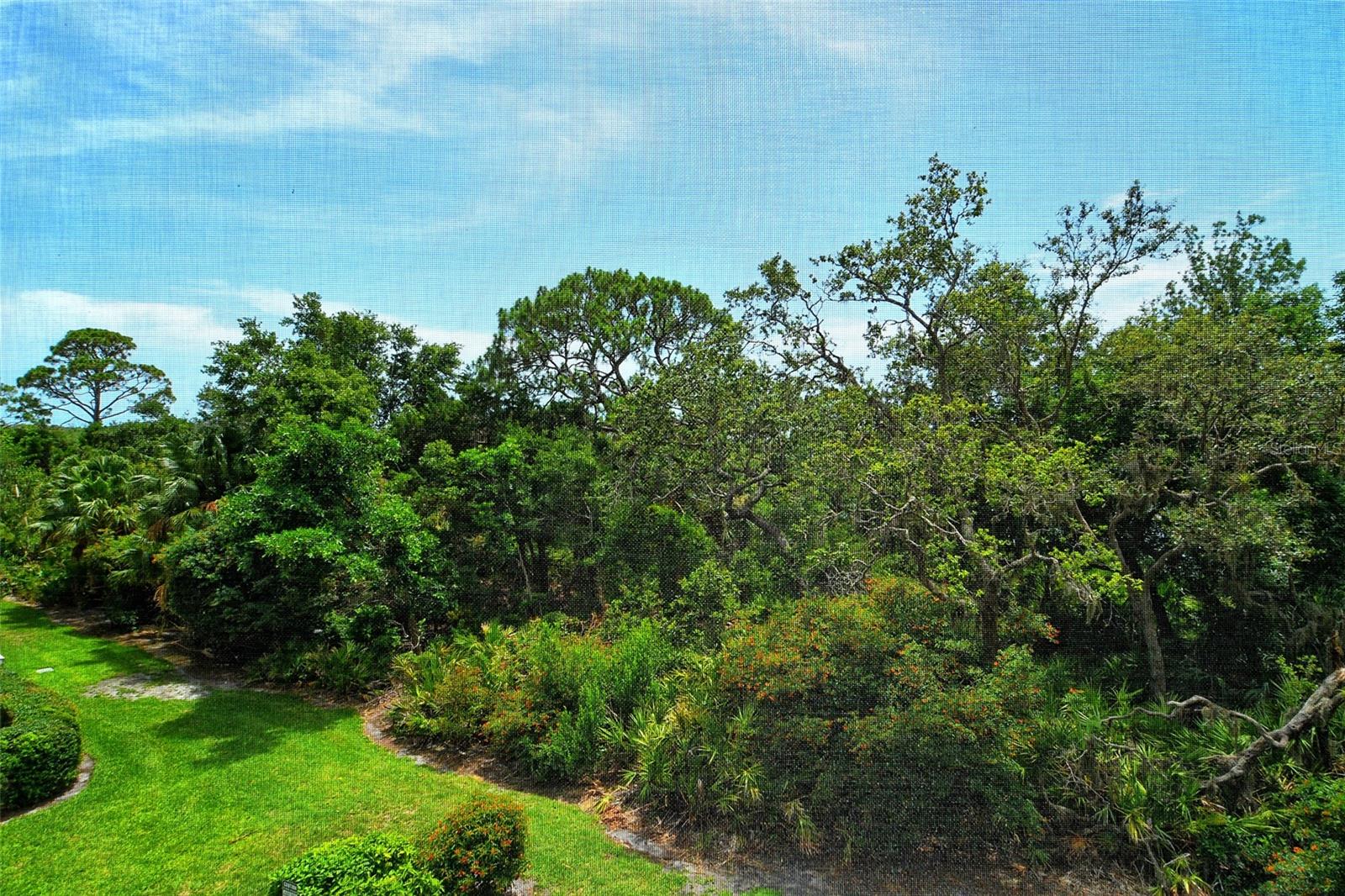 MERIDIAN AT THE OAKS PRESERVE - Residential