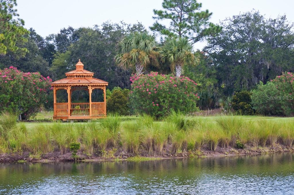 SANCTUARY SUB - Land