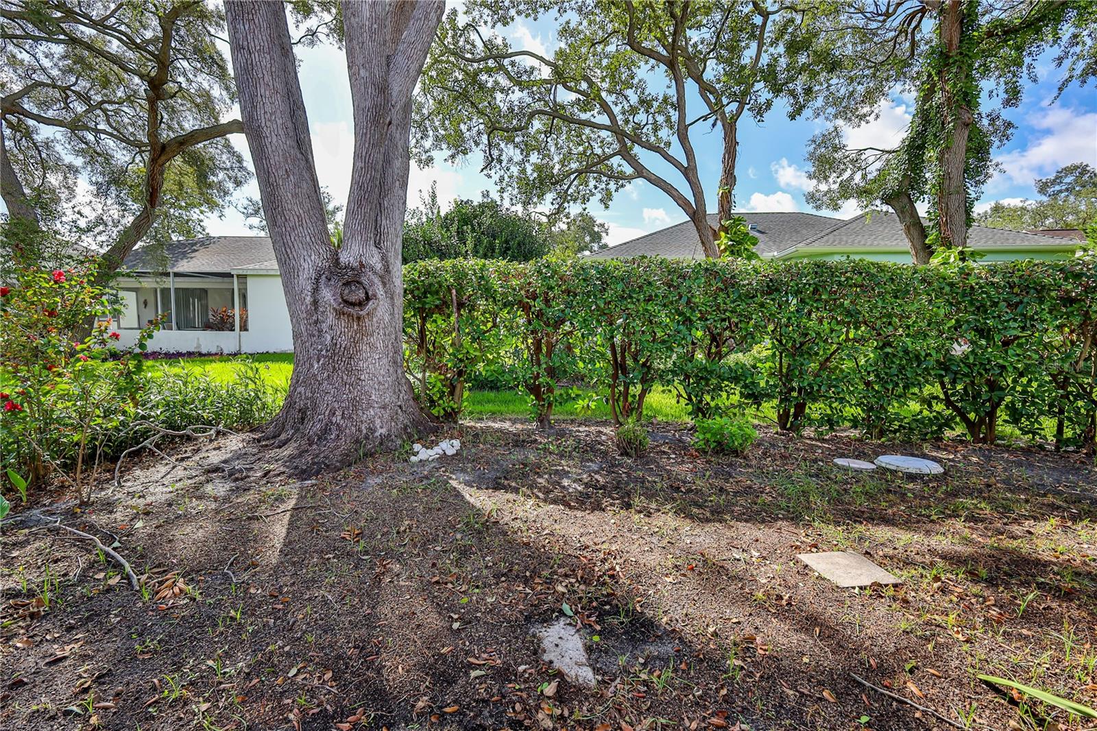 TIMBER PINES - Residential