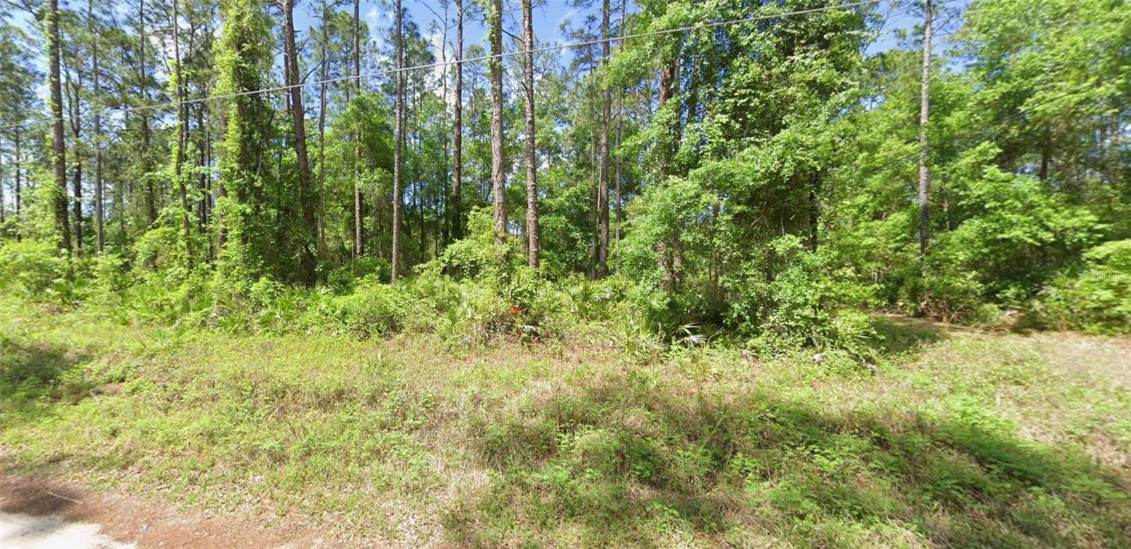 Short drive from paved road and overlooking beautiful mini farm. Located 10 minutes from downtown Fort McCoy with a grocery store, doctor's office, pharmacy, hardware, gas station, pizza, and more. Short drive to Silver Springs which includes Walmart, Lowes, Bealls, Outback and many more of your favorite shopping spots and restaurants. 
Ocala is only another 10 minutes from Silver Springs with vibrant night life and lots of entertainment options and restaurants. Gainesville(Home of Florida Gators) is only 50 minutes to downtown. 
 Minutes to Ocklawaha River, Ocala National Forest, and many natural springs(Salt Springs, Silver Glen Springs, Juniper Springs), horseback and walking trails, and off-road vehicle trails await your explorations. One-of-a-kind property and location!