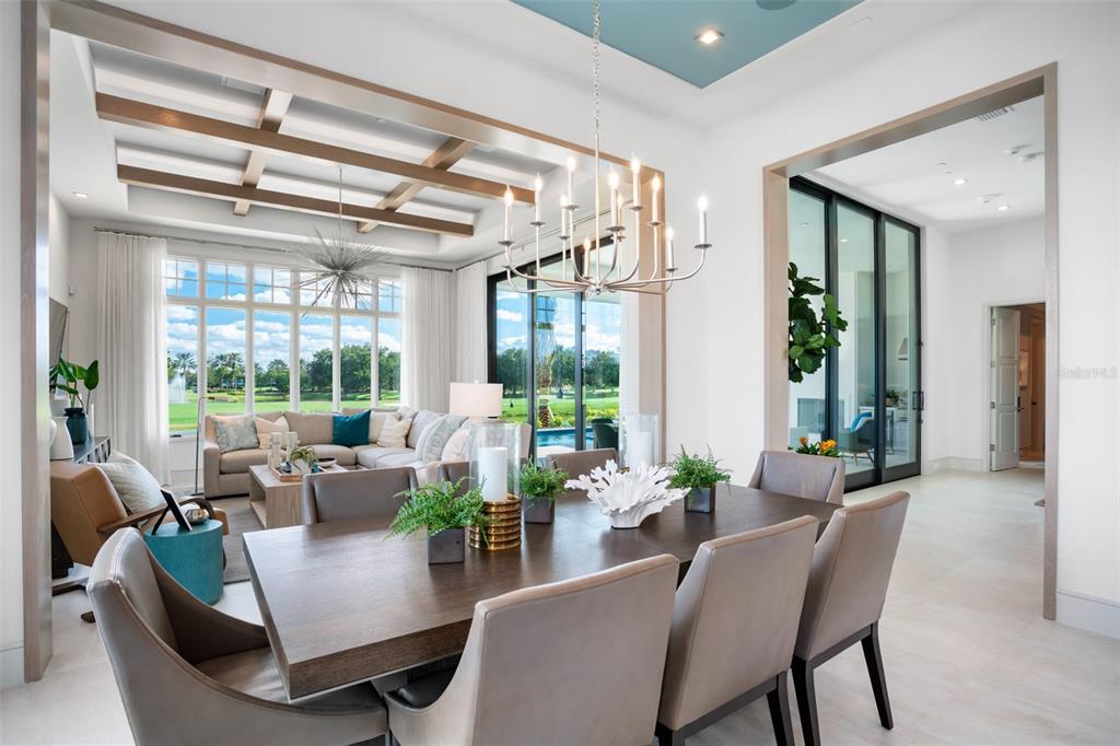 RITZ-CARLTON RESIDENCES, ORLANDO - Residential