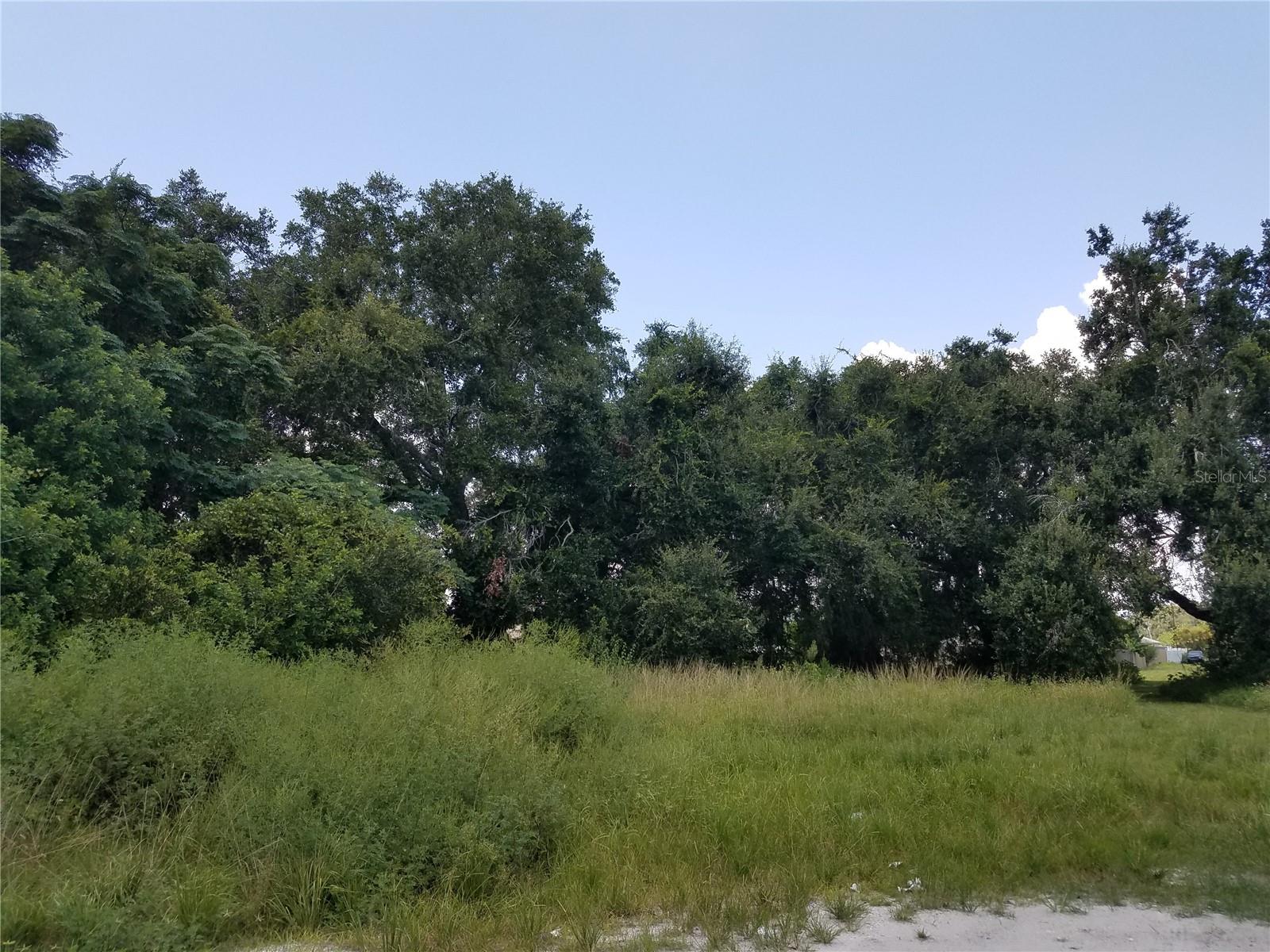 EMERALD LAKE COLONY UNIT 02 - Land