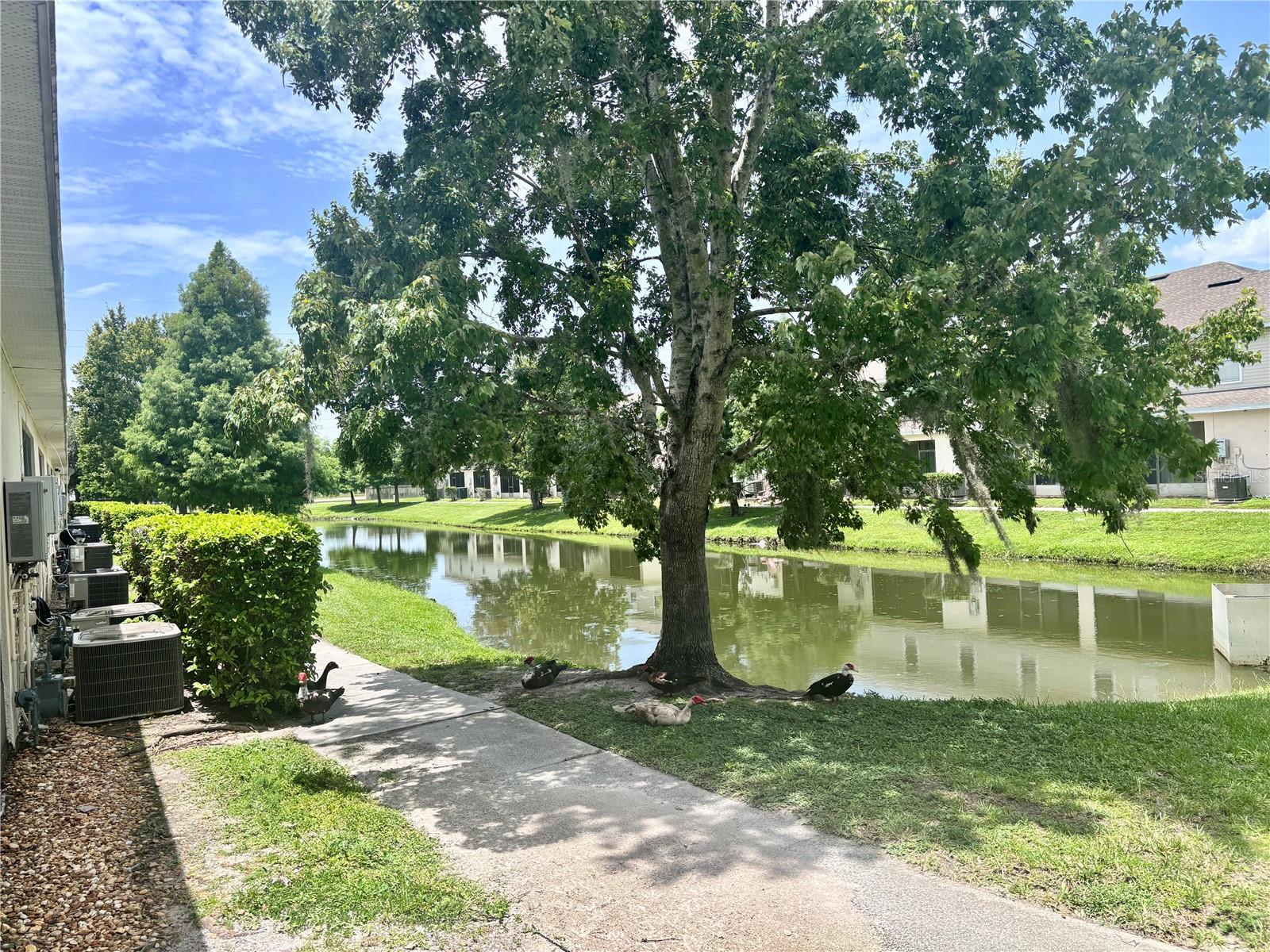 TRAFALGAR VILLAGE - Residential
