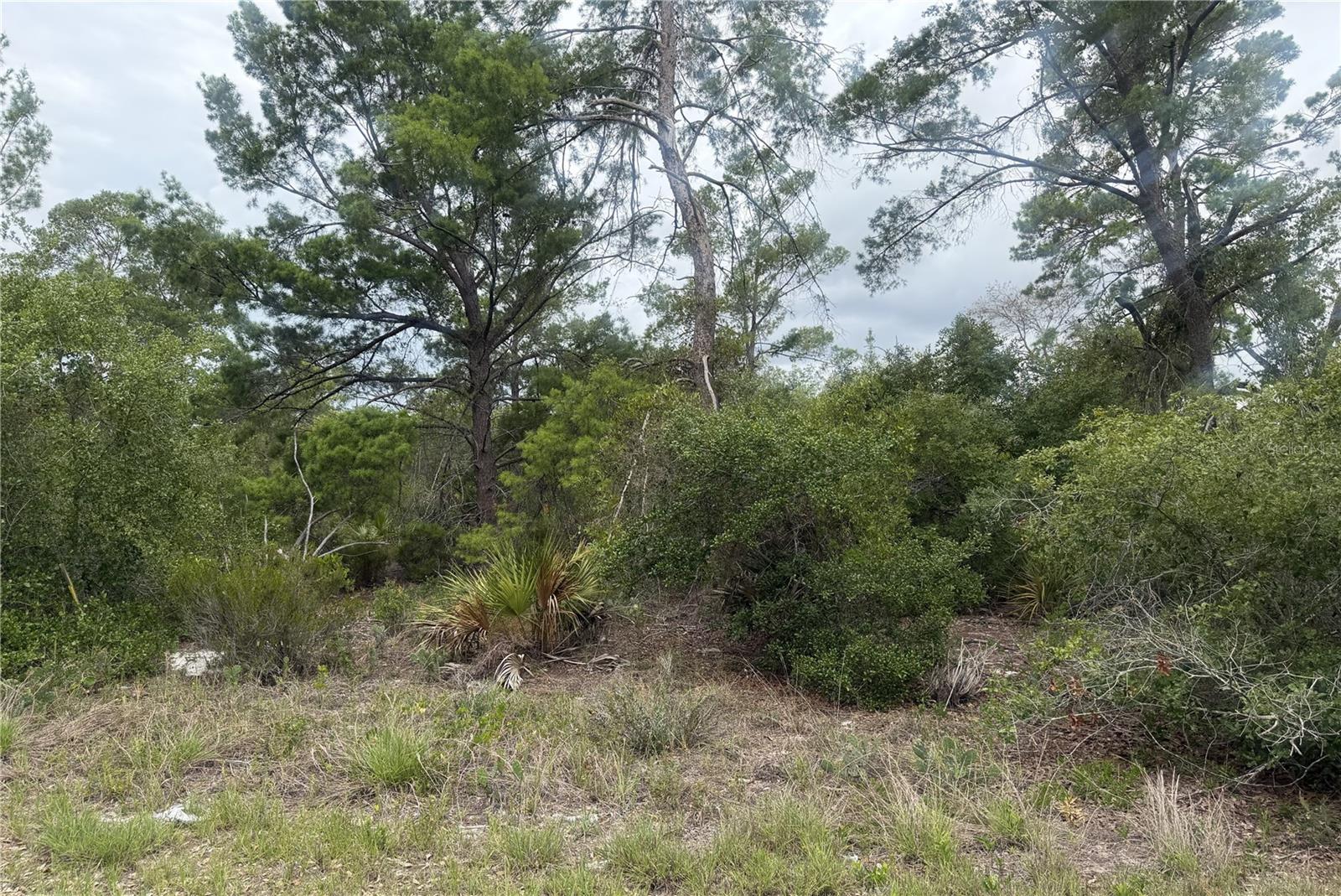 Build your Florida dream home on this spacious 0.23-acre residential lot located in the growing community of Lake Placid. Situated on Hoover Ave NE, this vacant parcel offers plenty of room for a custom home, garage, and outdoor living space. Enjoy the peaceful surroundings while remaining conveniently close to shopping, dining, schools, medical facilities, and the many lakes that make Lake Placid famous. Whether you're looking to build now or invest for the future, this property presents an excellent opportunity in a desirable Highlands County location.
