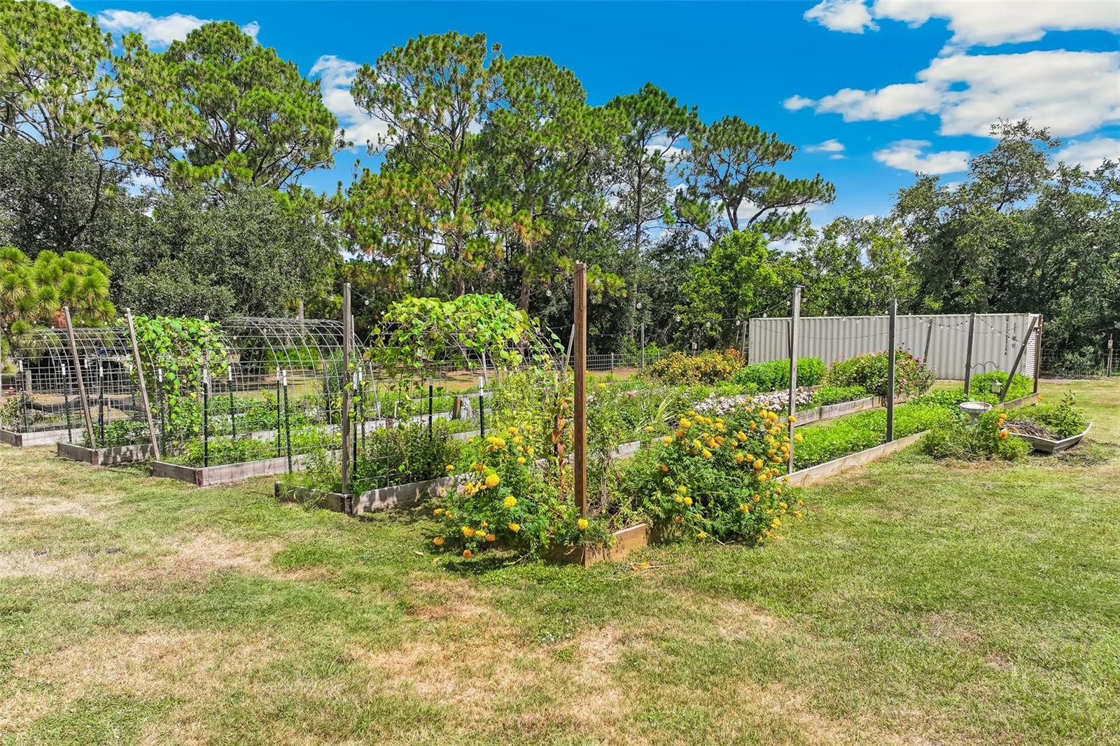 RACIMO RANCHES - Residential