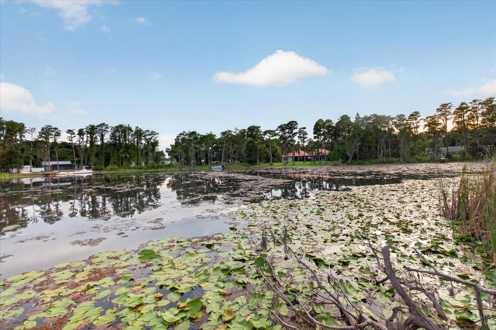 CAMILA ESTATES - Residential