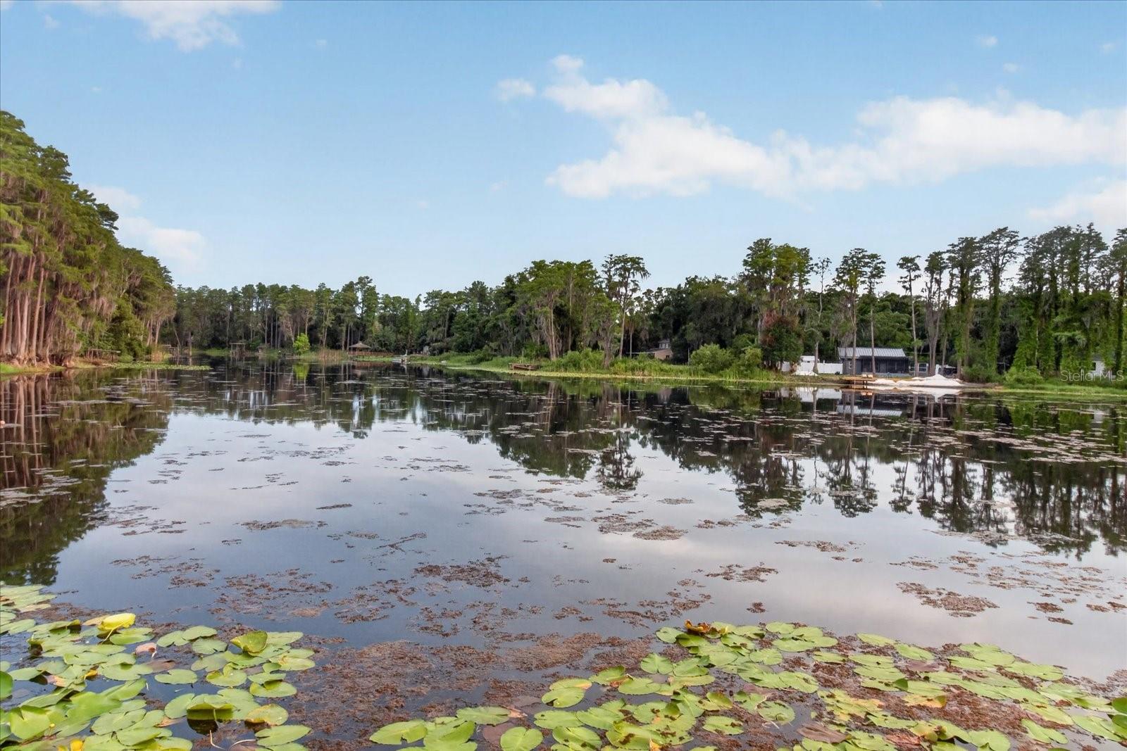 CAMILA ESTATES - Residential