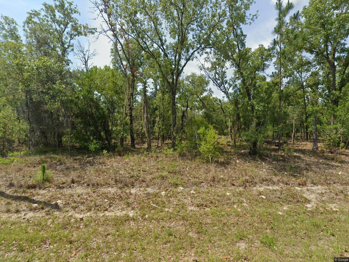 000416 - CITRUS SPRINGS UNIT 27 - Land