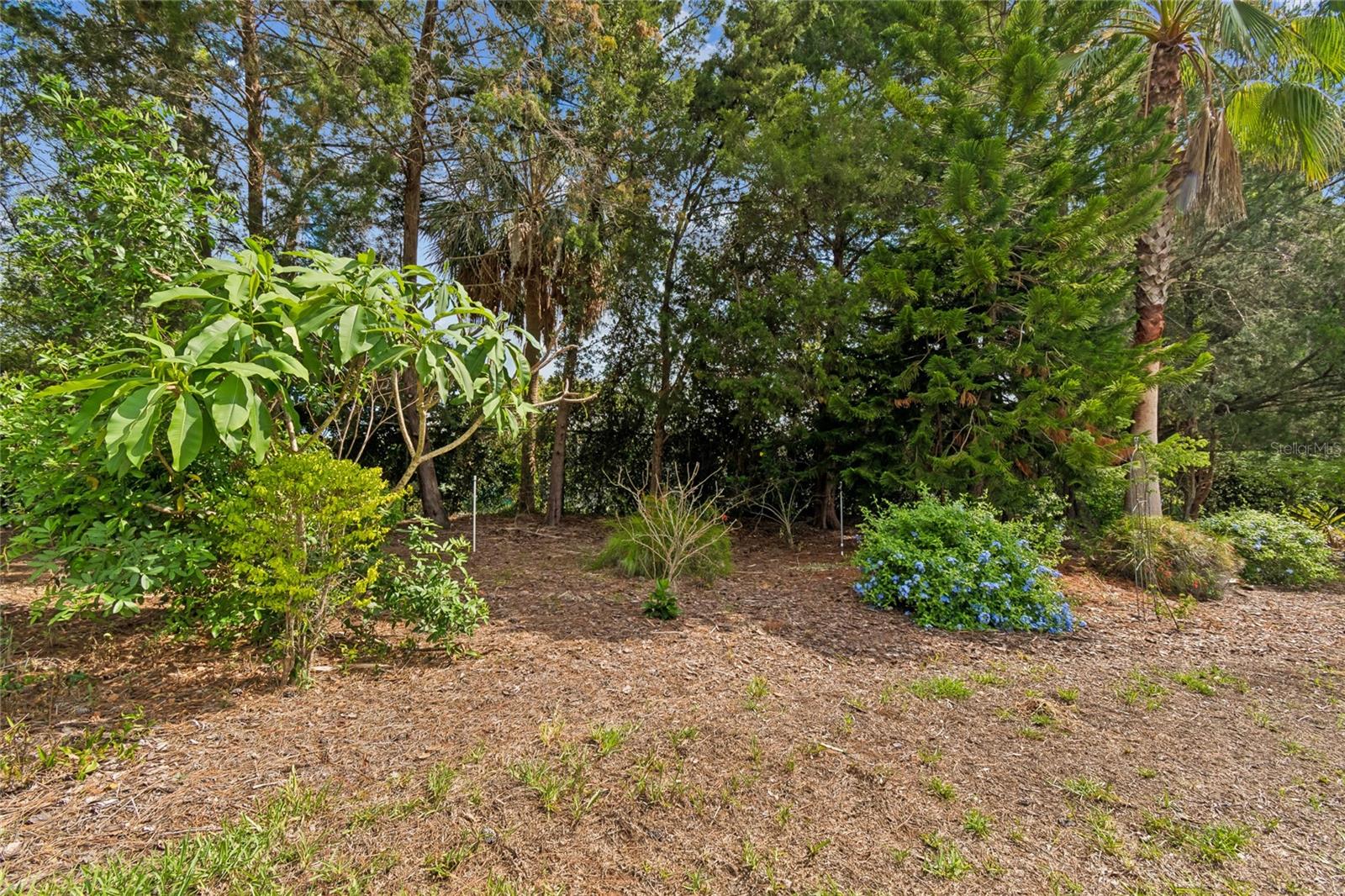 HERITAGE PINES VILLAGE 06 - Residential
