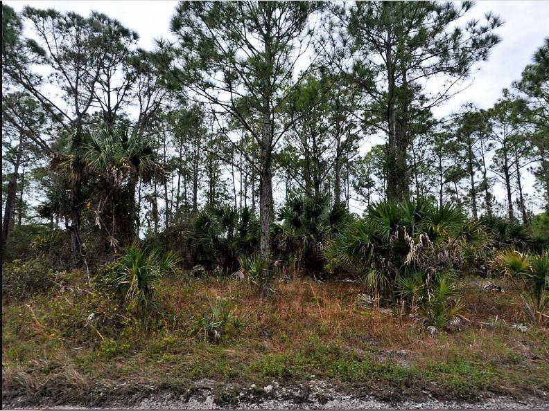 PORT CHARLOTTE SUB 47 - Land