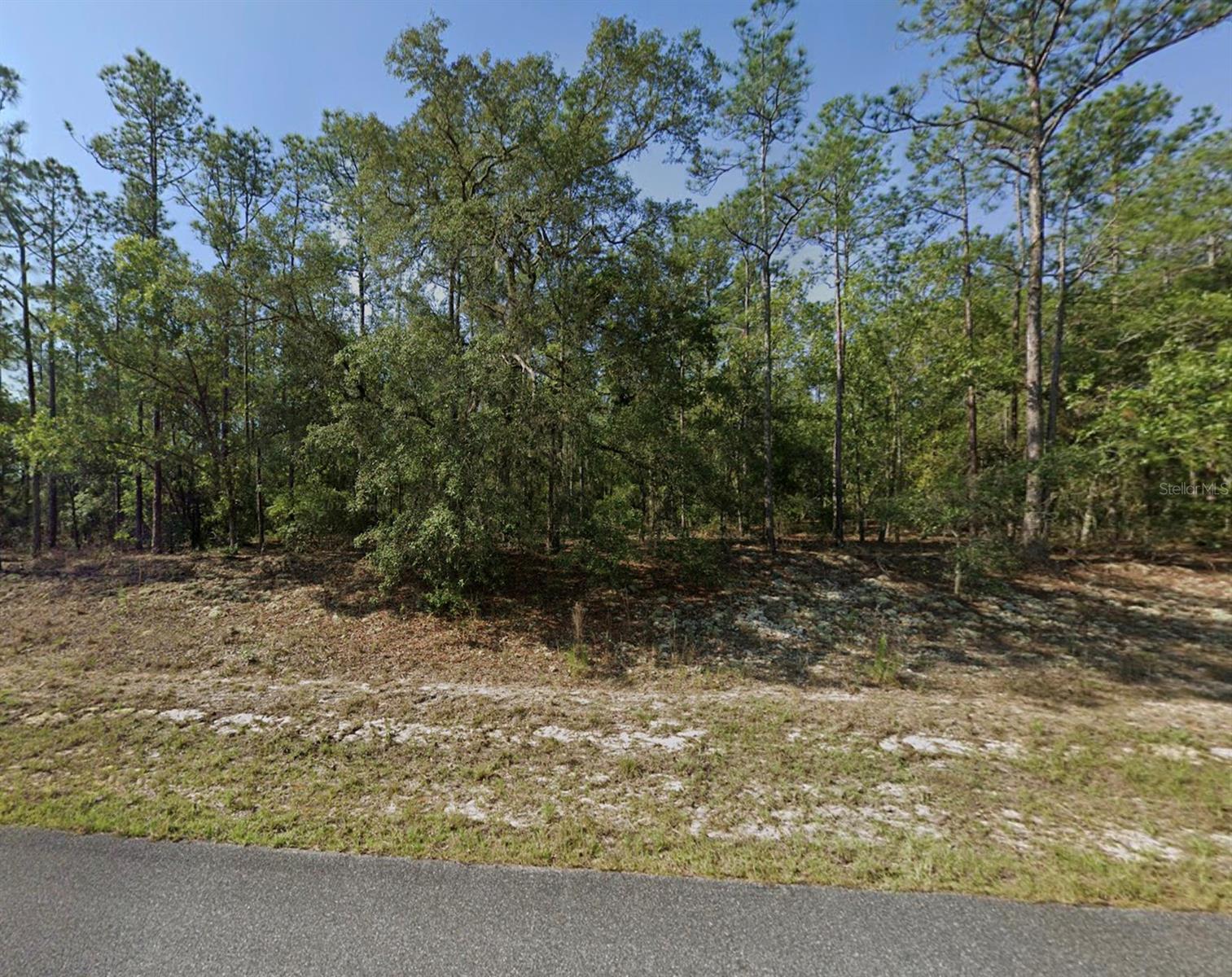 CITRUS SPRINGS UNIT 26 - Land