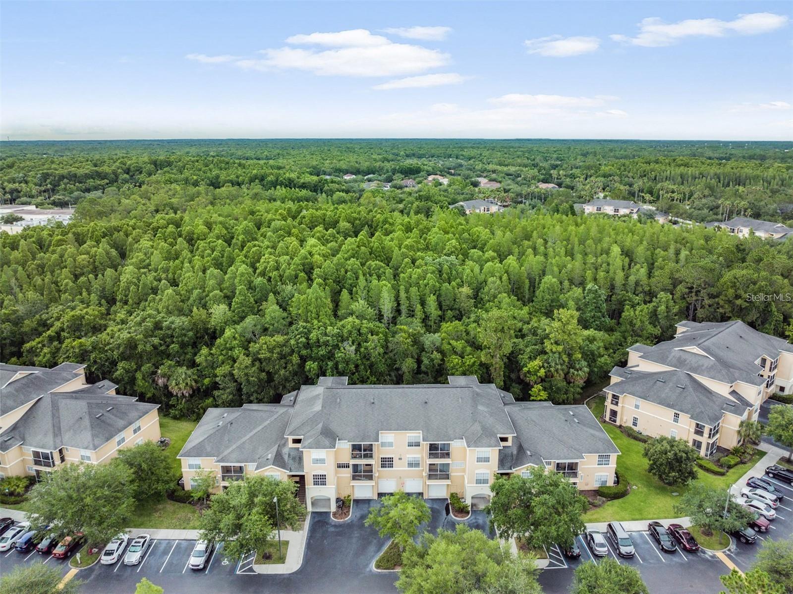 OXFORD PLACE AT TAMPA PALMS A - Residential Lease