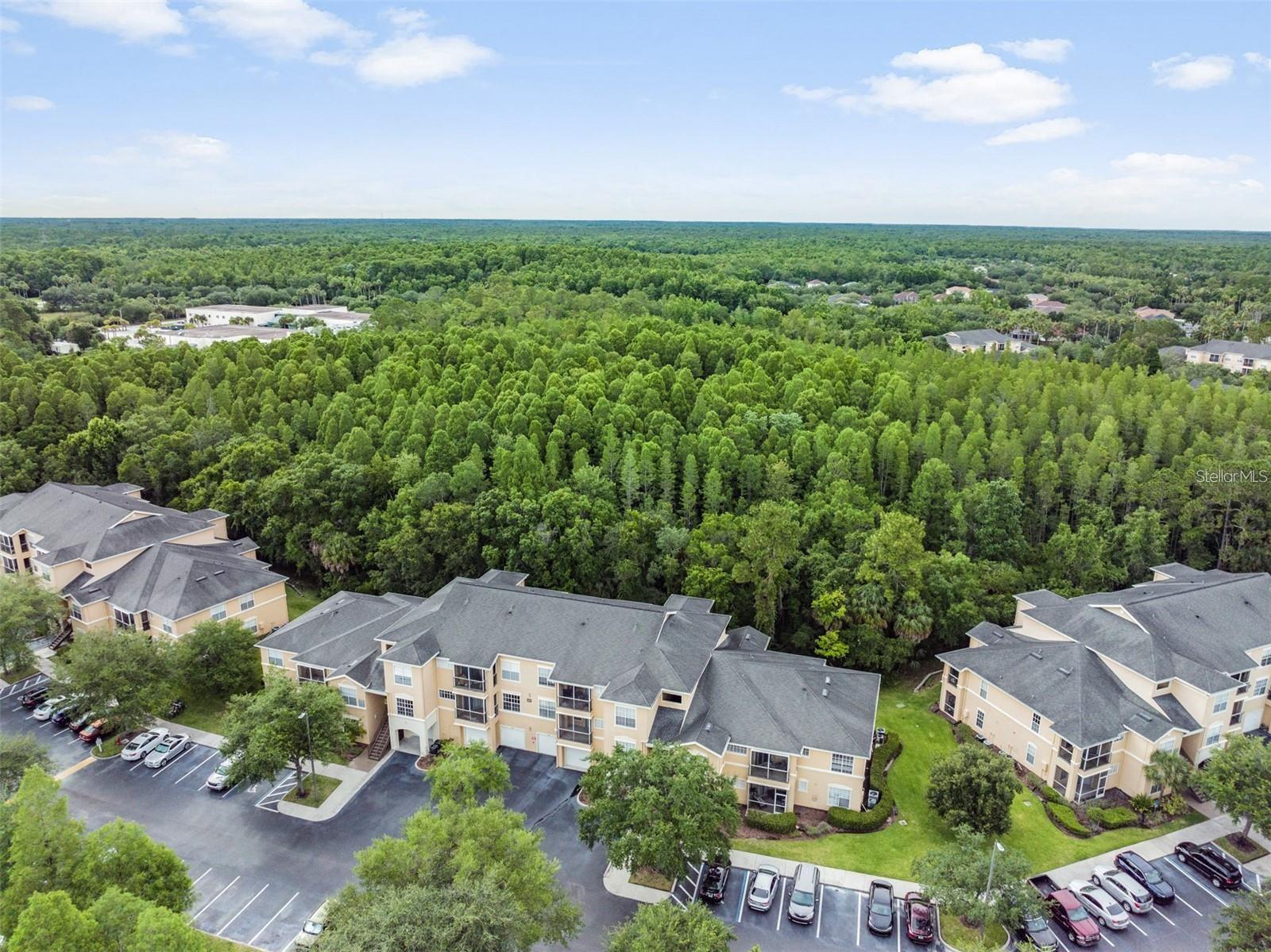 OXFORD PLACE AT TAMPA PALMS A - Residential Lease