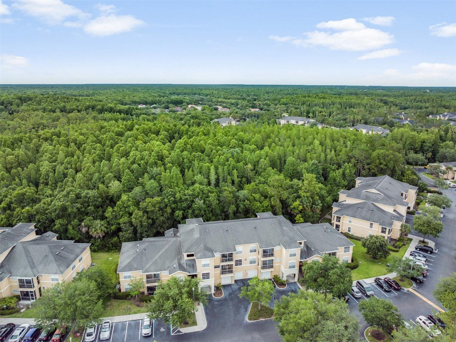 OXFORD PLACE AT TAMPA PALMS A - Residential Lease