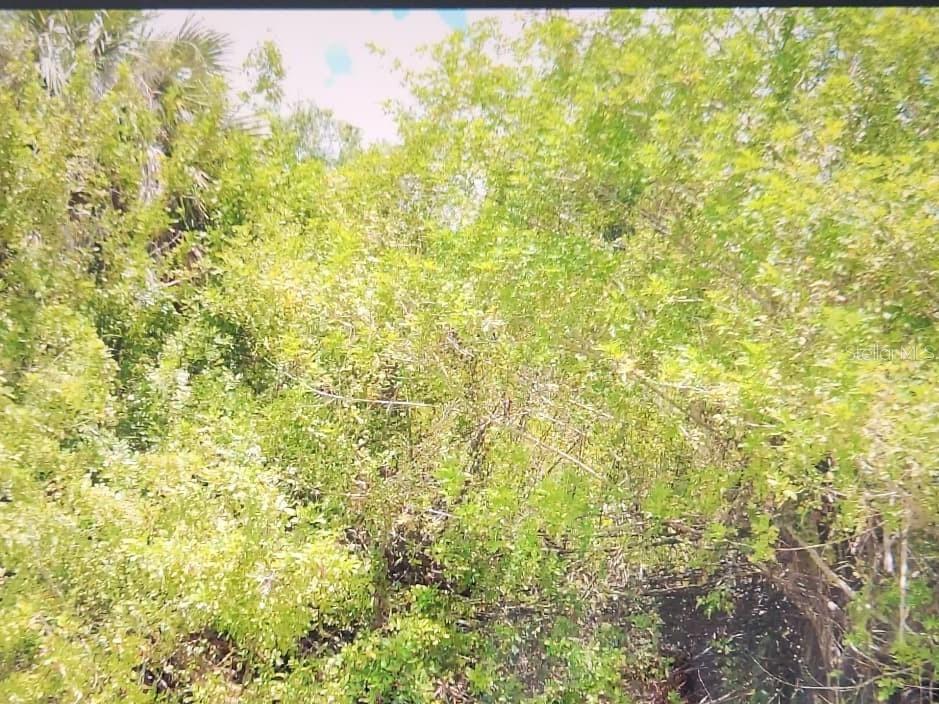 PORT CHARLOTTE SEC 008 - Land