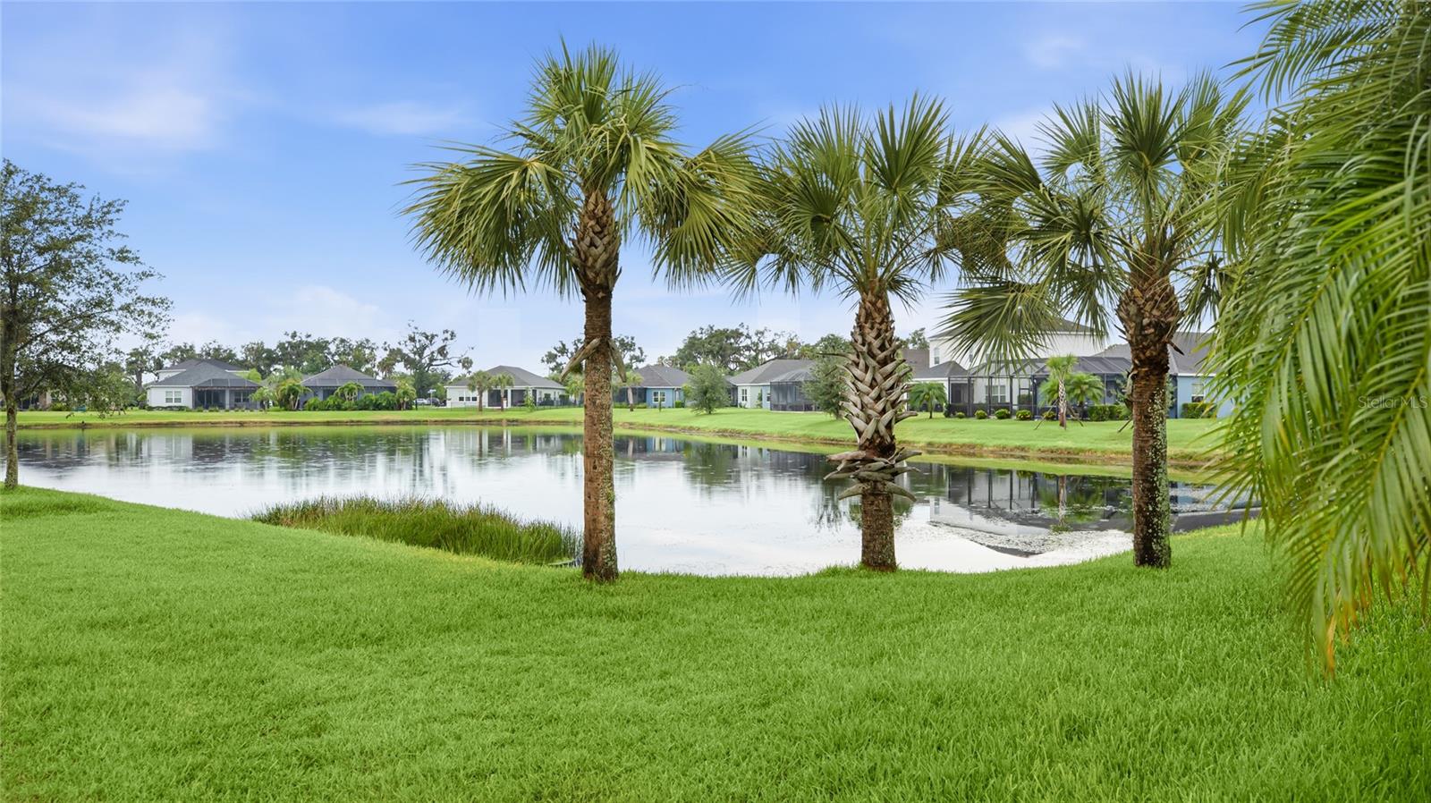 SILVERLEAF PH II & III - Residential