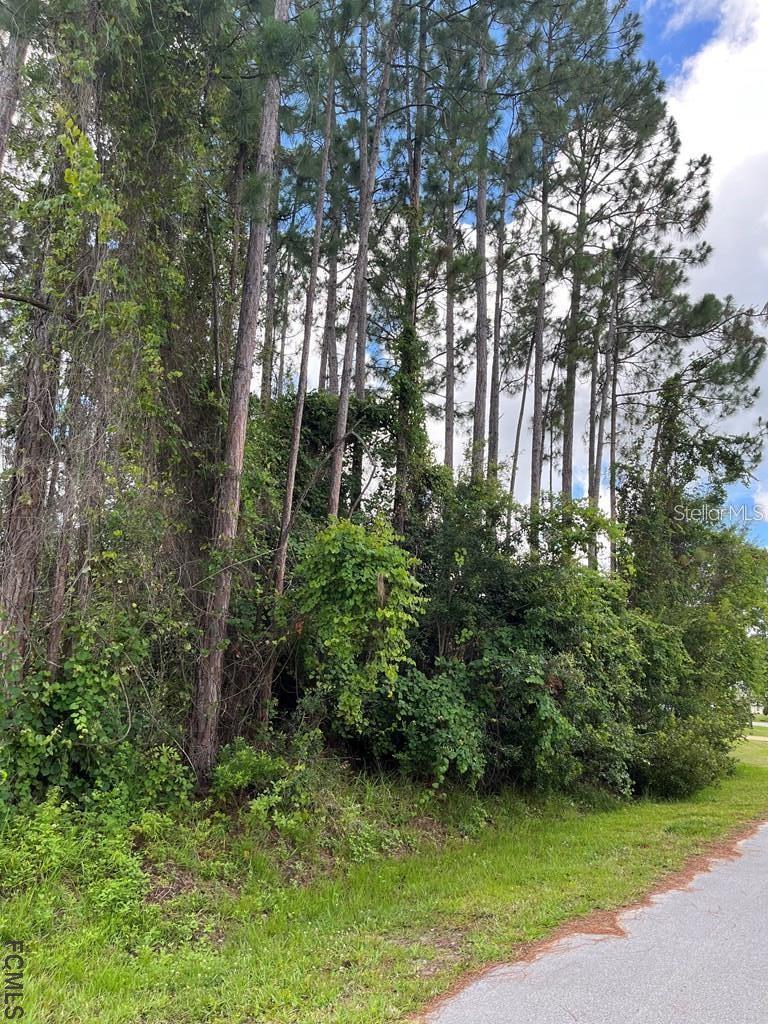 PALM COAST SEC 28 - Land