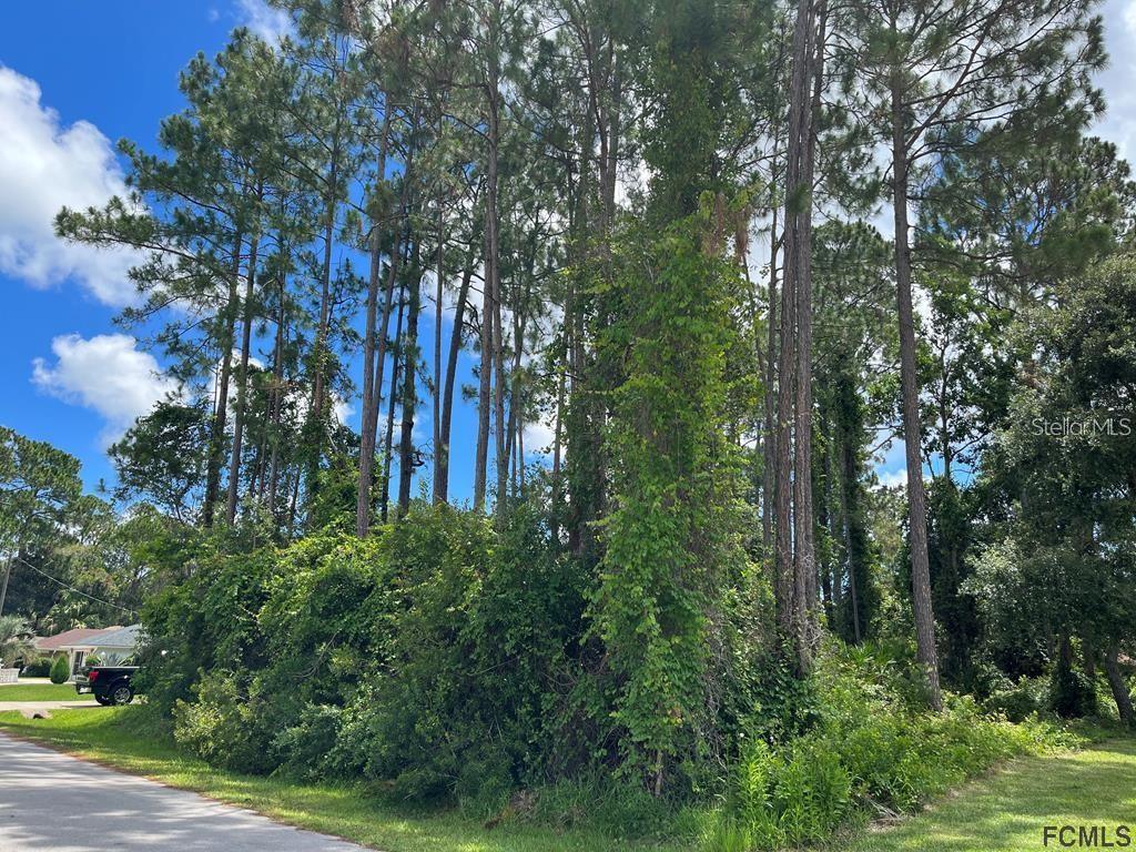PALM COAST SEC 28 - Land
